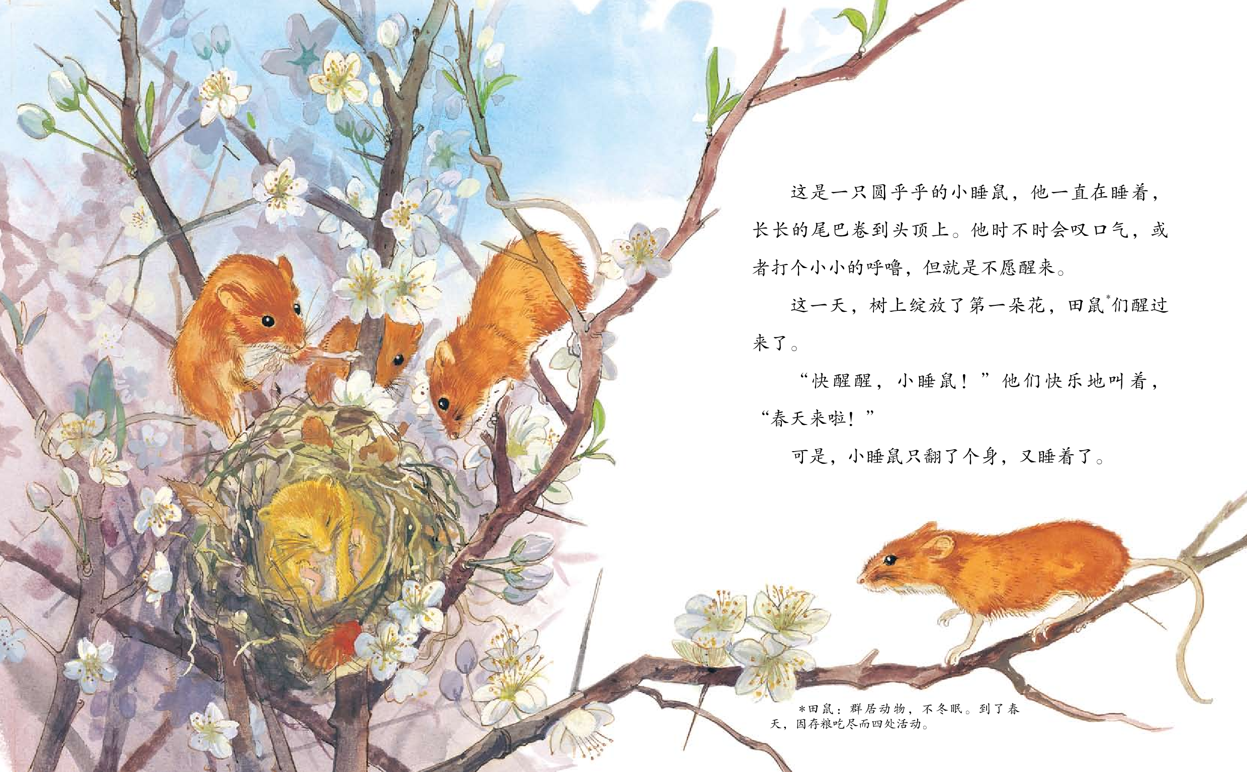 生长在春天.pdf 第4页