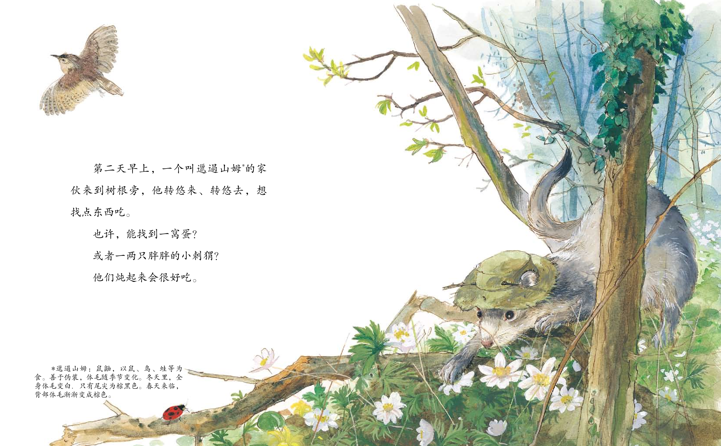 生长在春天.pdf 第5页