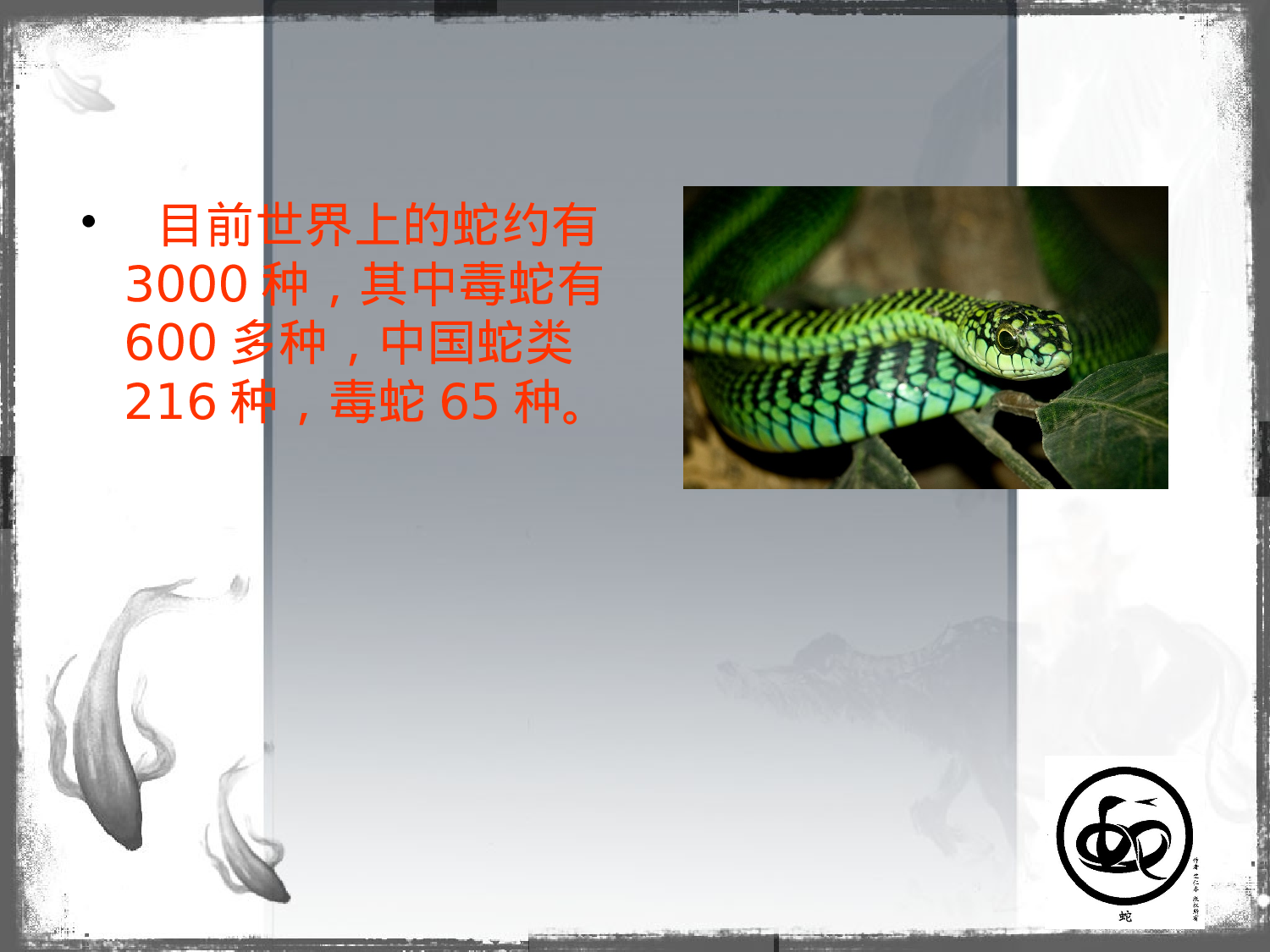蛇.ppt 第3页