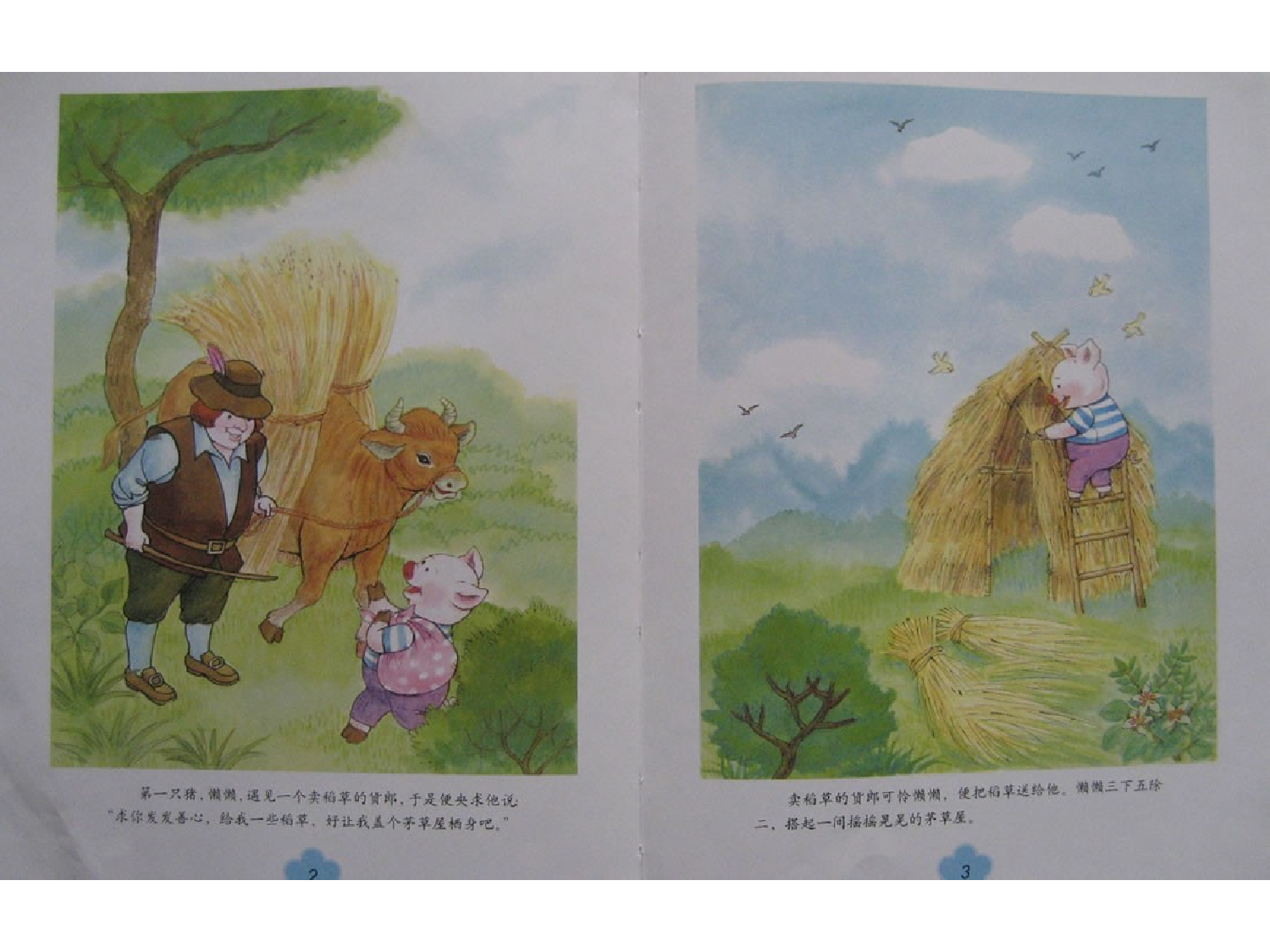 三只小猪x.ppt 第5页