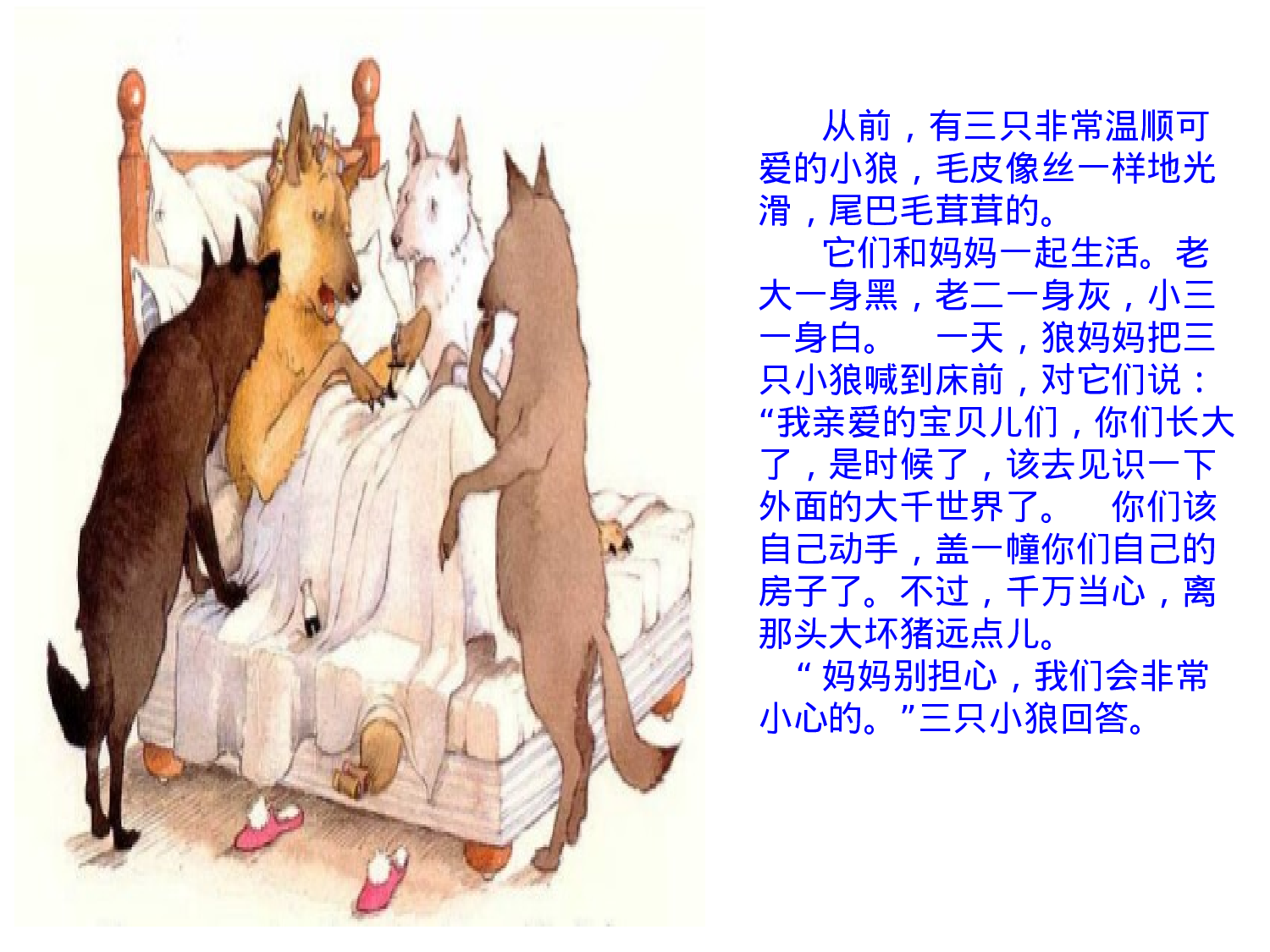 三只小狼和一只大坏猪.ppt 第2页