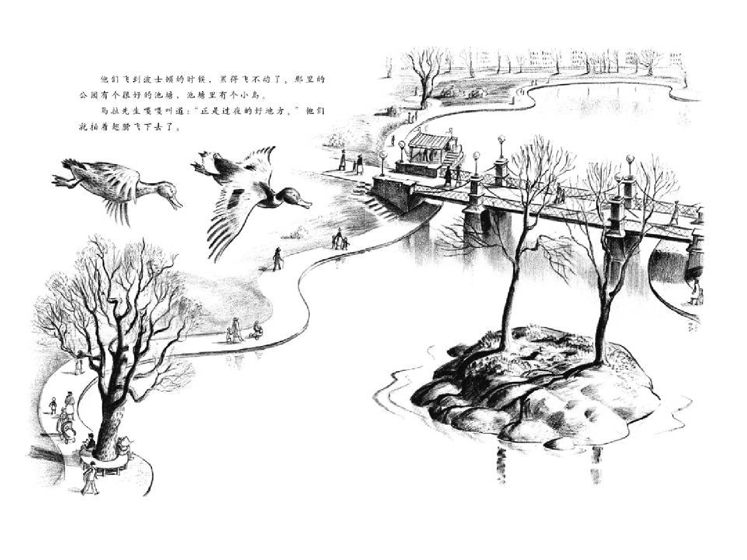 让路给小鸭子.ppt 第5页