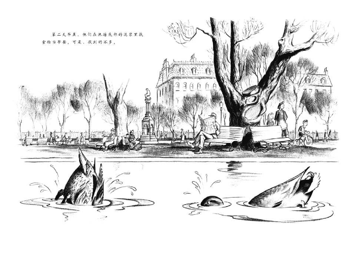 让路给小鸭子.ppt 第6页