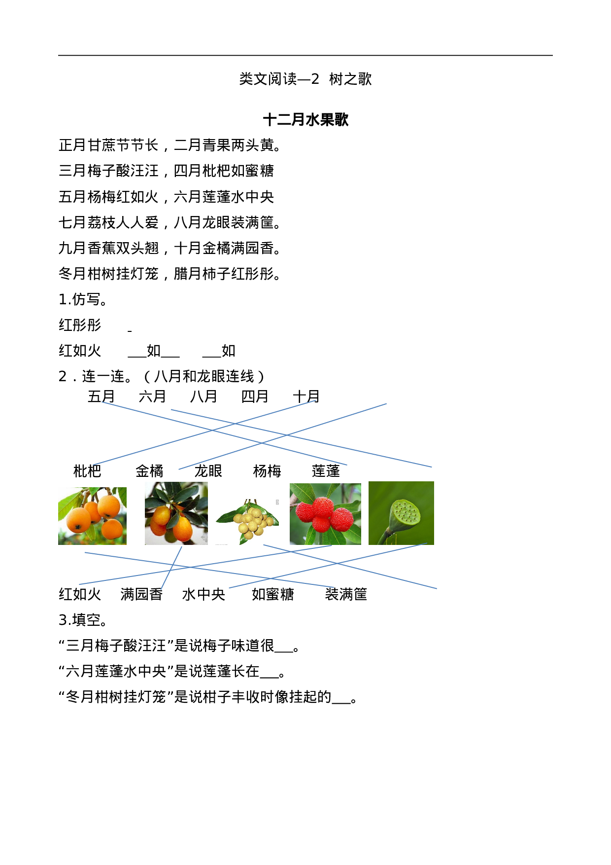 二（上）语文阅读专项练习：树之歌.doc 第1页