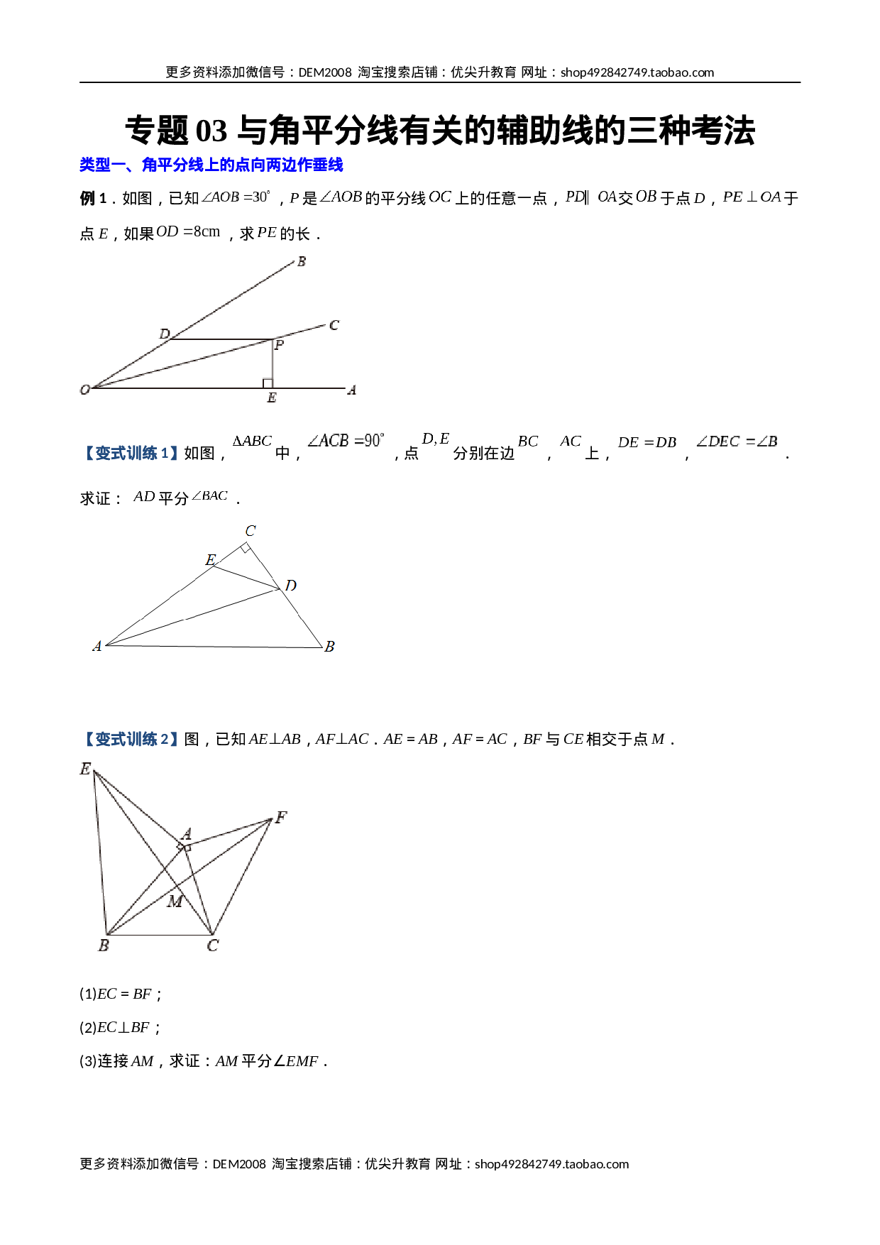专题03 与角平分线有关的辅助线的三种考法（原卷版）（人教版） .docx 第1页