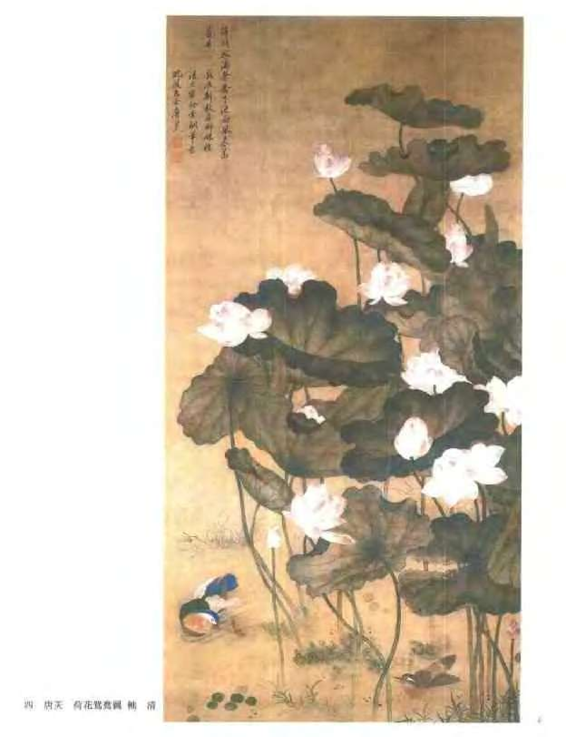 中国绘画全集·第25卷_.pdf 第6页