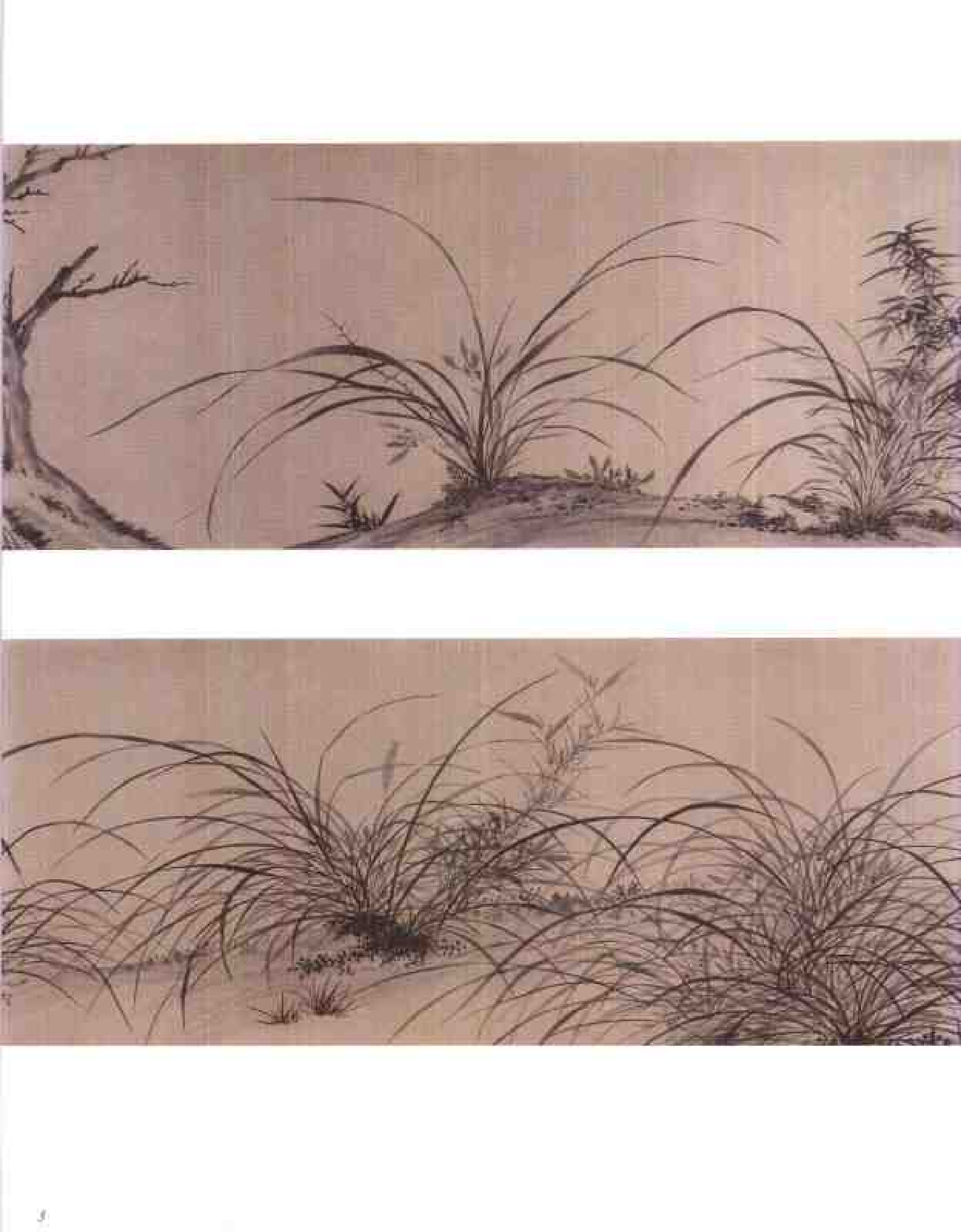 中国绘画全集·第18卷.pdf 第5页