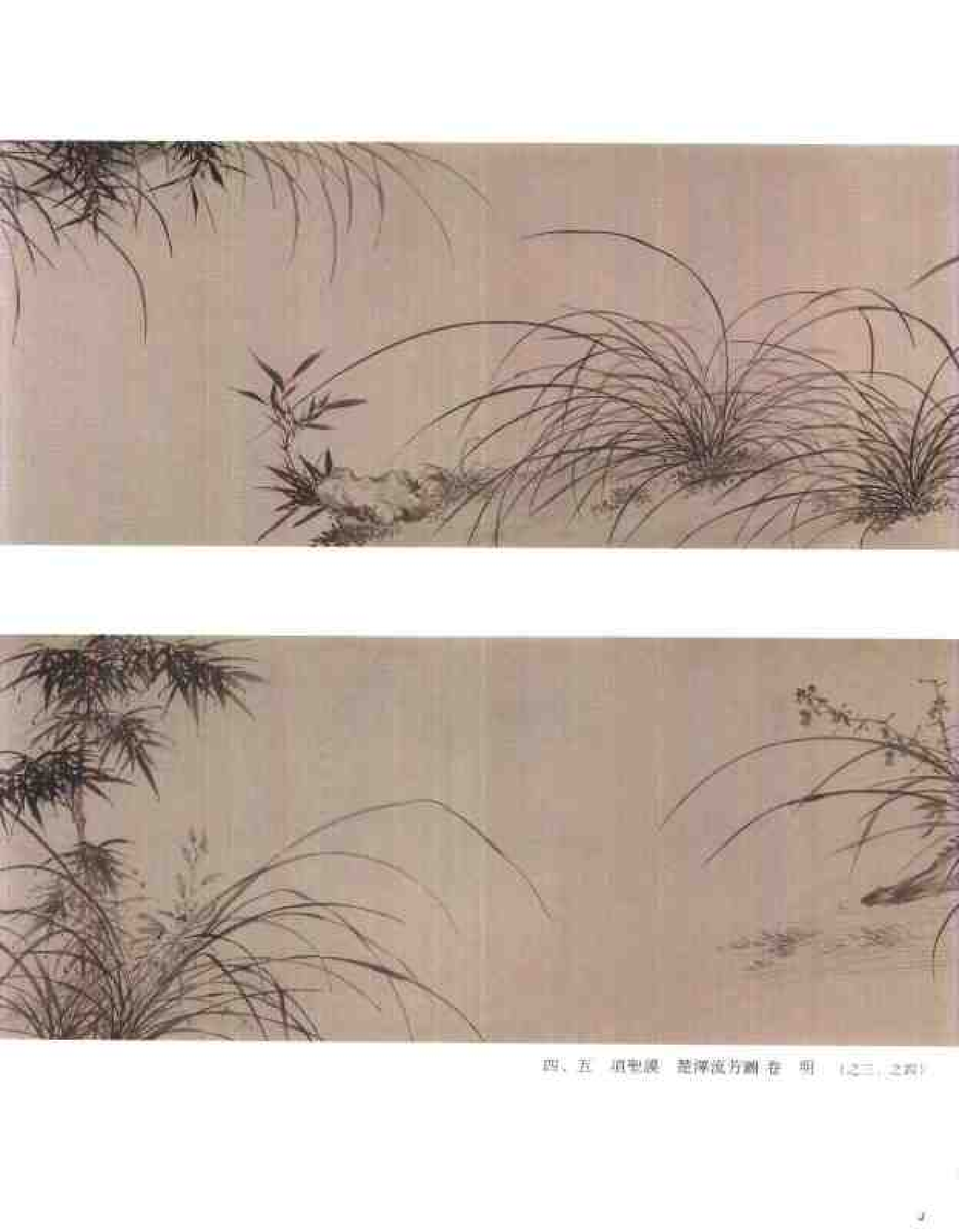 中国绘画全集·第18卷.pdf 第6页