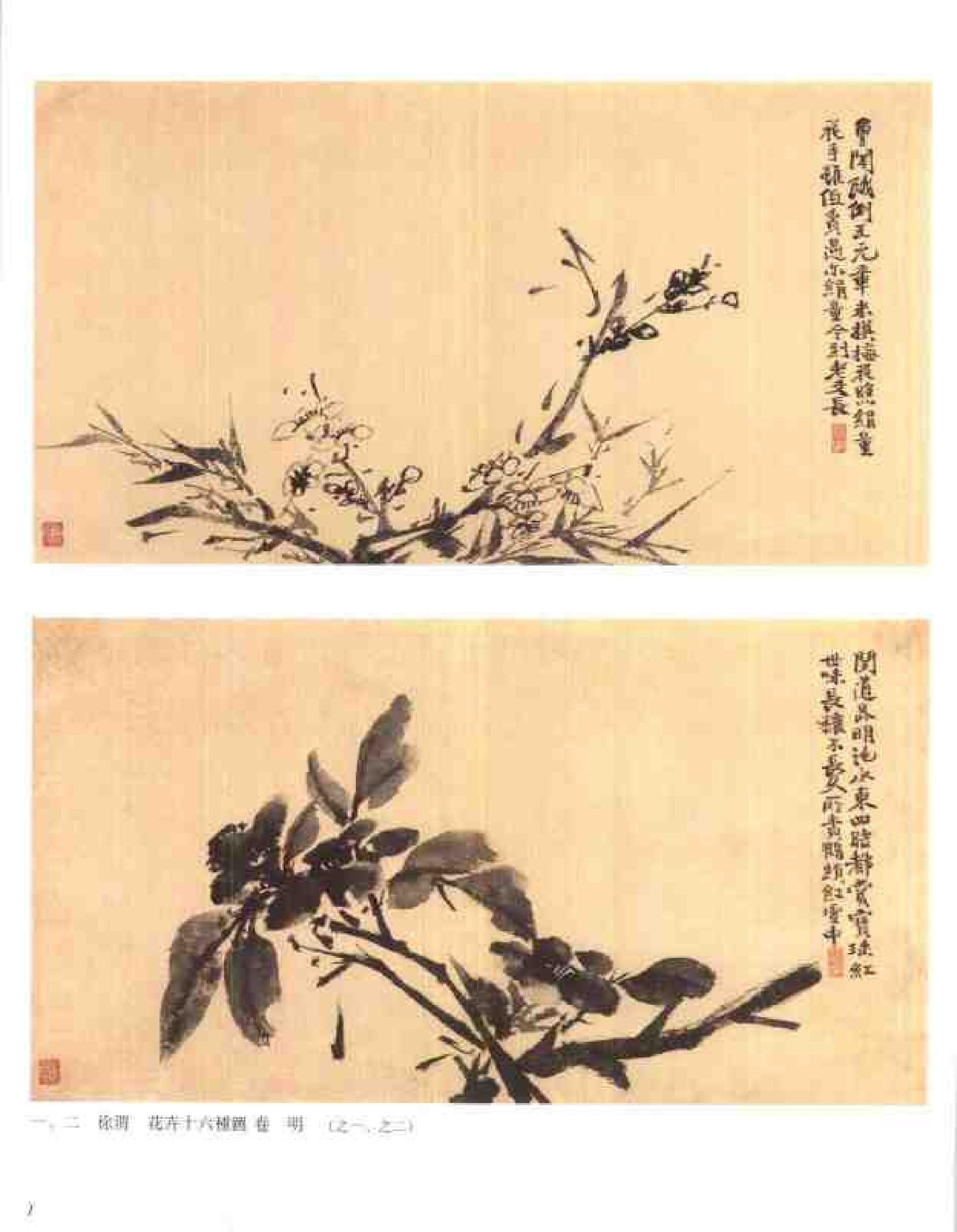 中国绘画全集·第15卷_.pdf 第3页