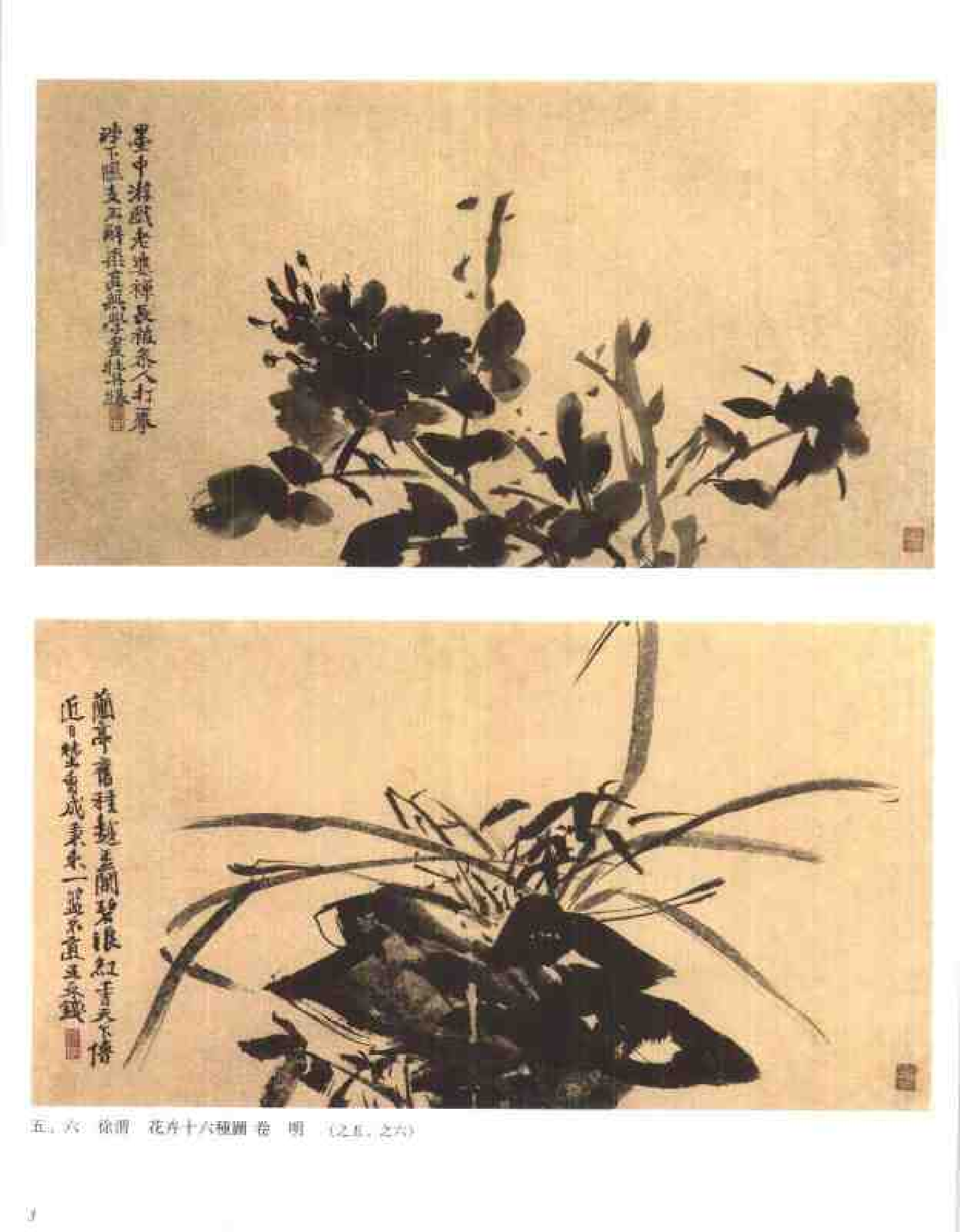 中国绘画全集·第15卷_.pdf 第5页