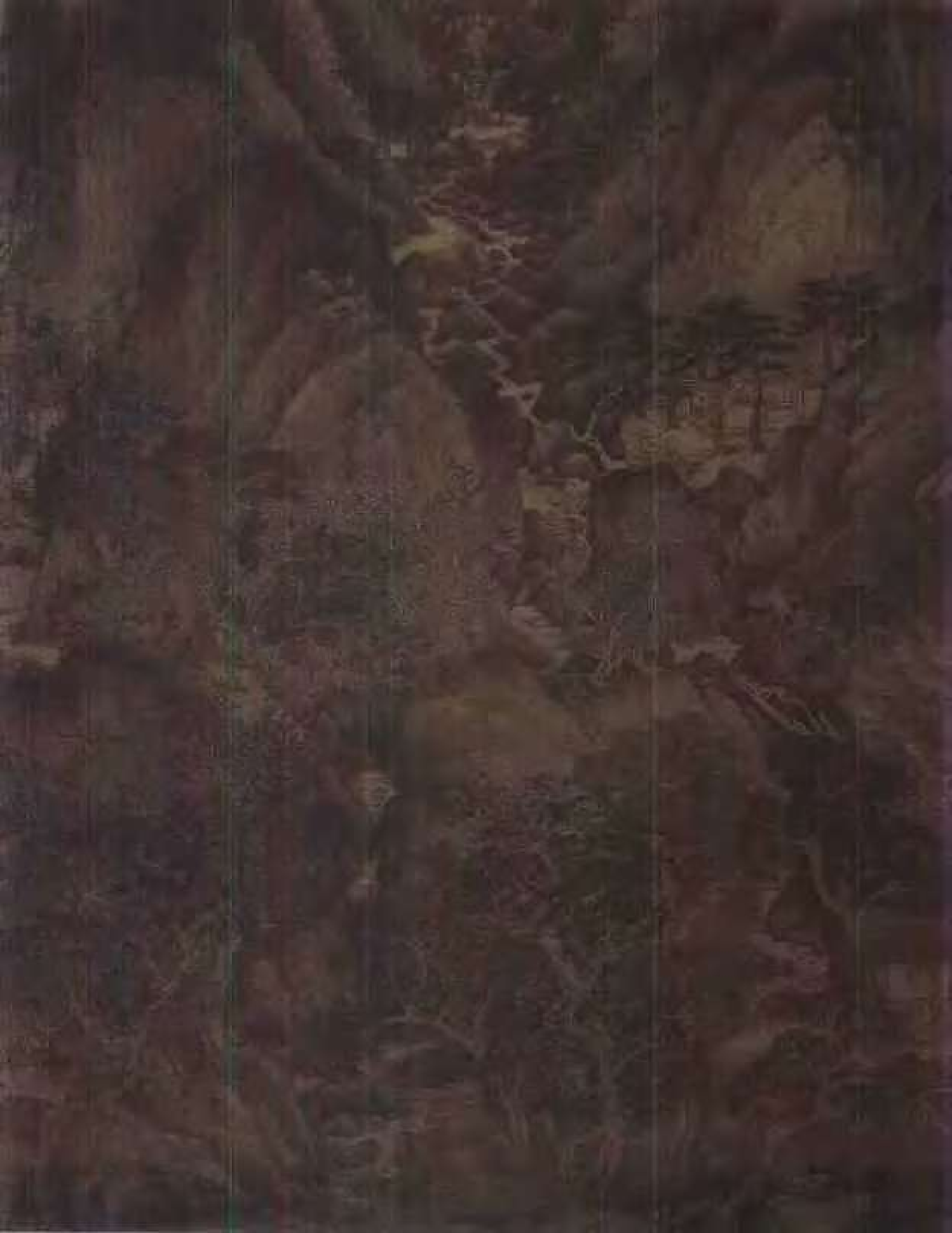 中国绘画全集·第9卷.pdf 第5页