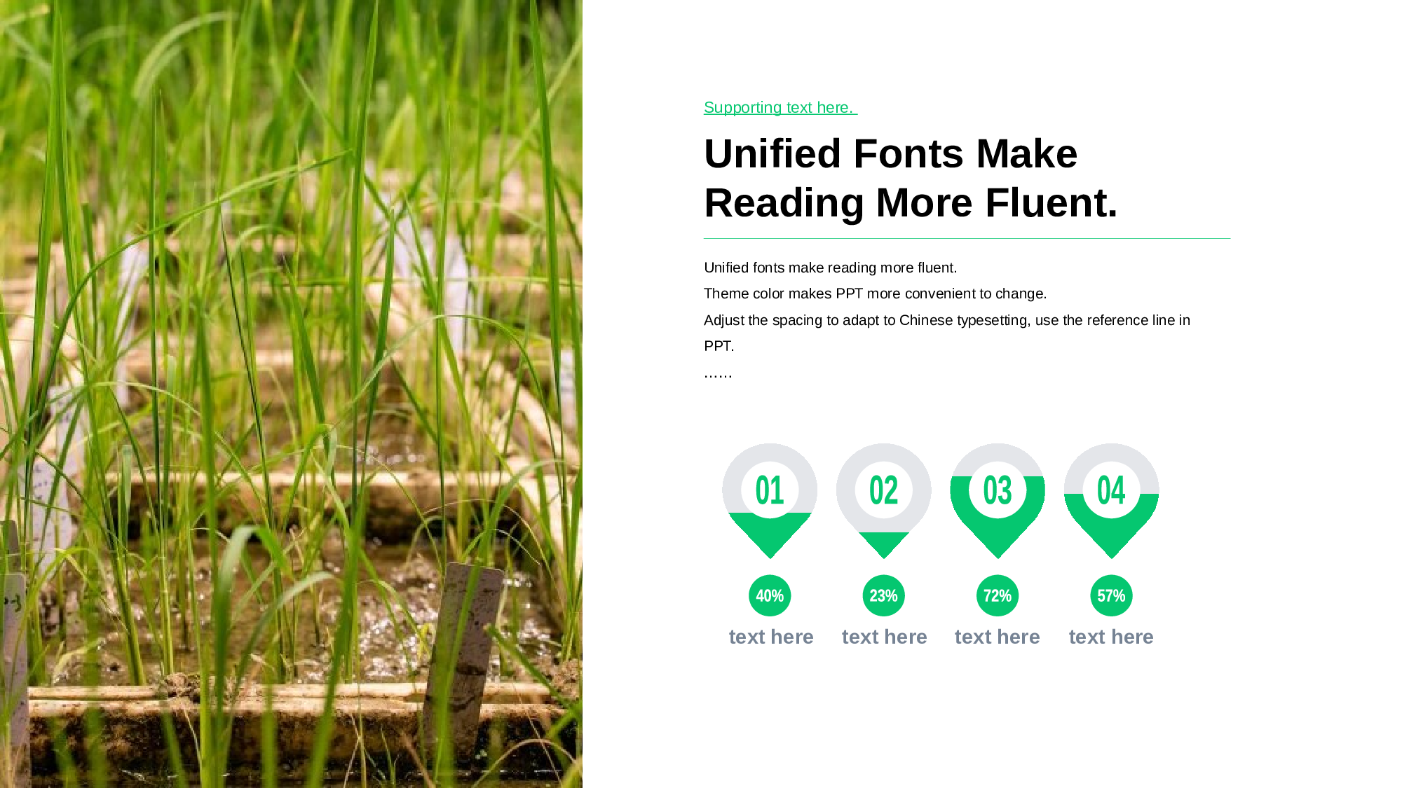 白色华中农业大学文学系学术答辩PPT下载.pptx 第5页