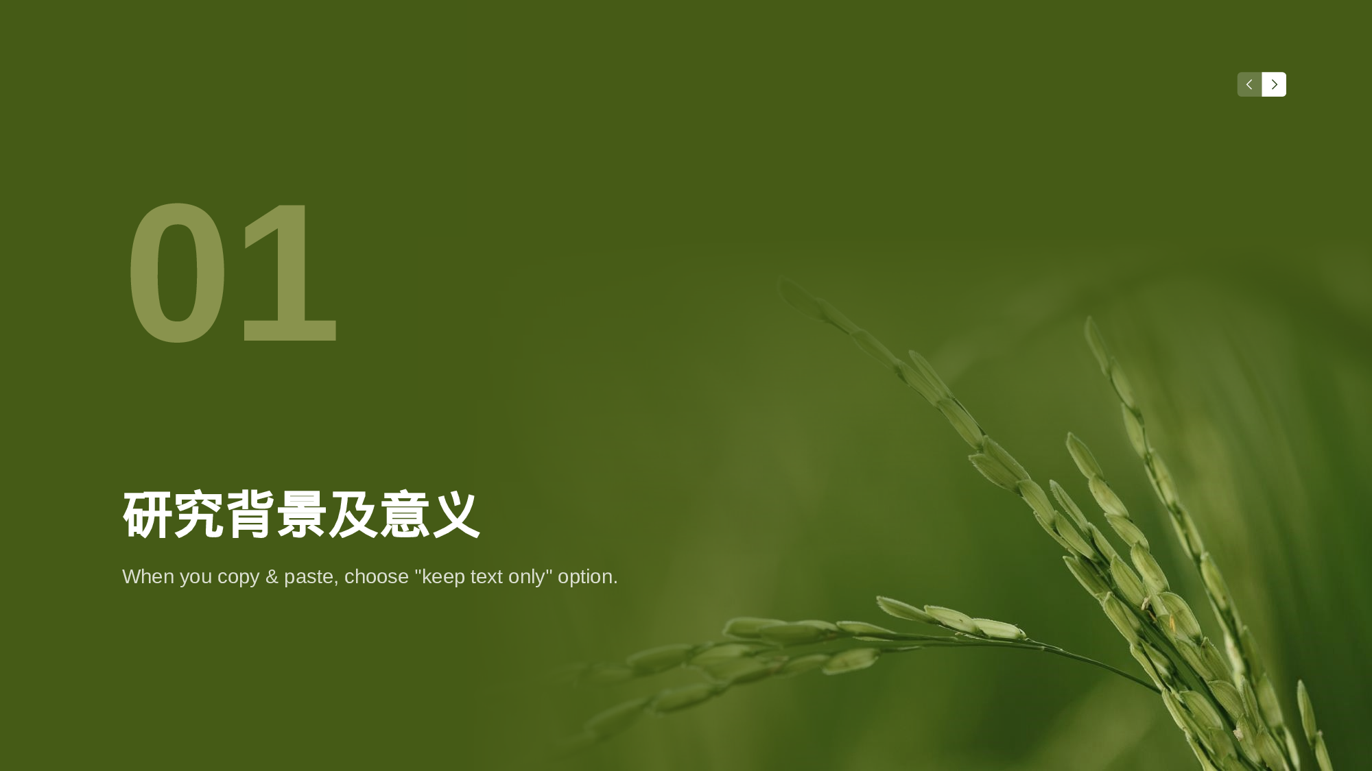 生物专业毕业论文答辩PPT.pptx 第3页