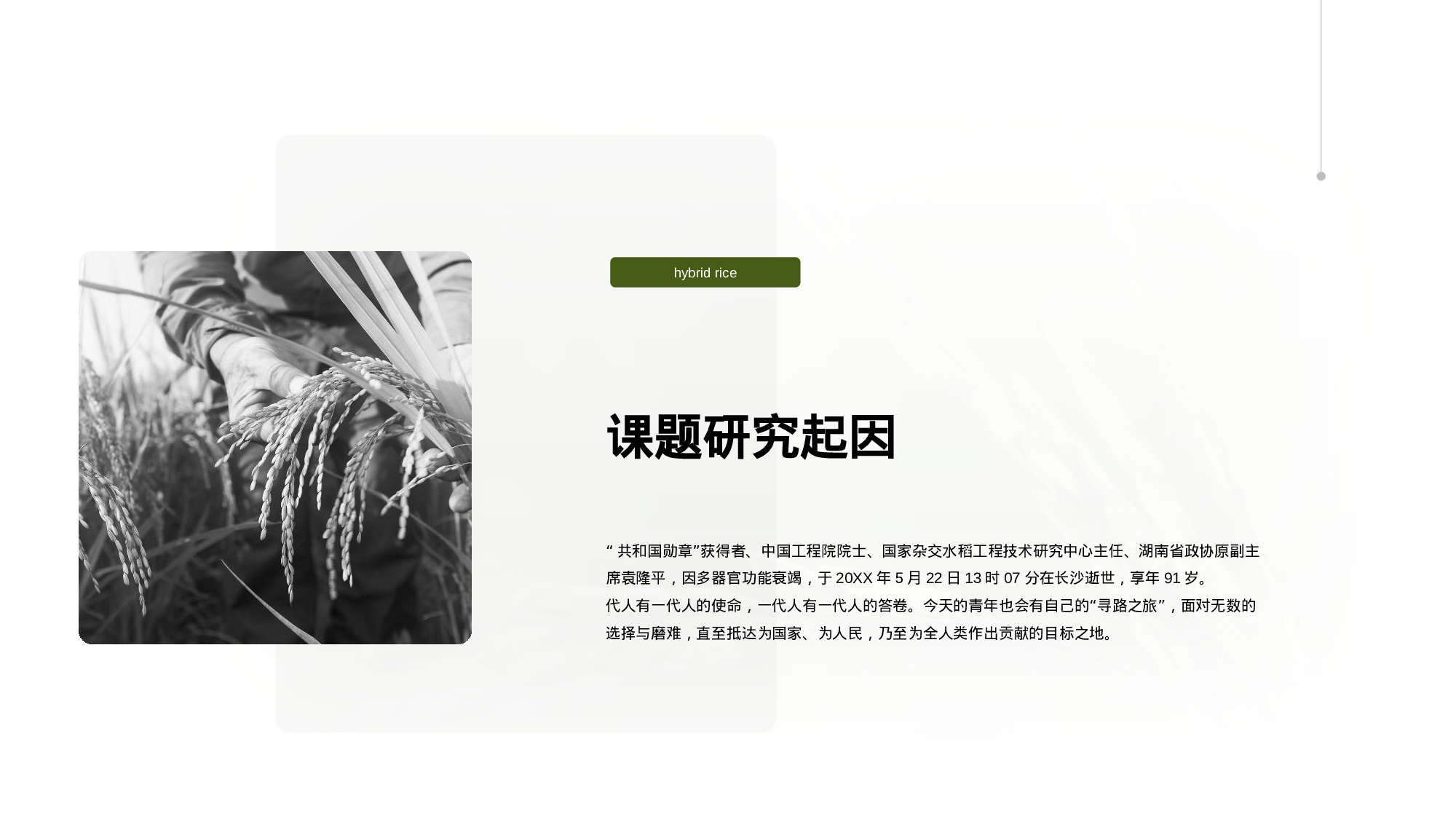 生物专业毕业论文答辩PPT.pptx 第4页