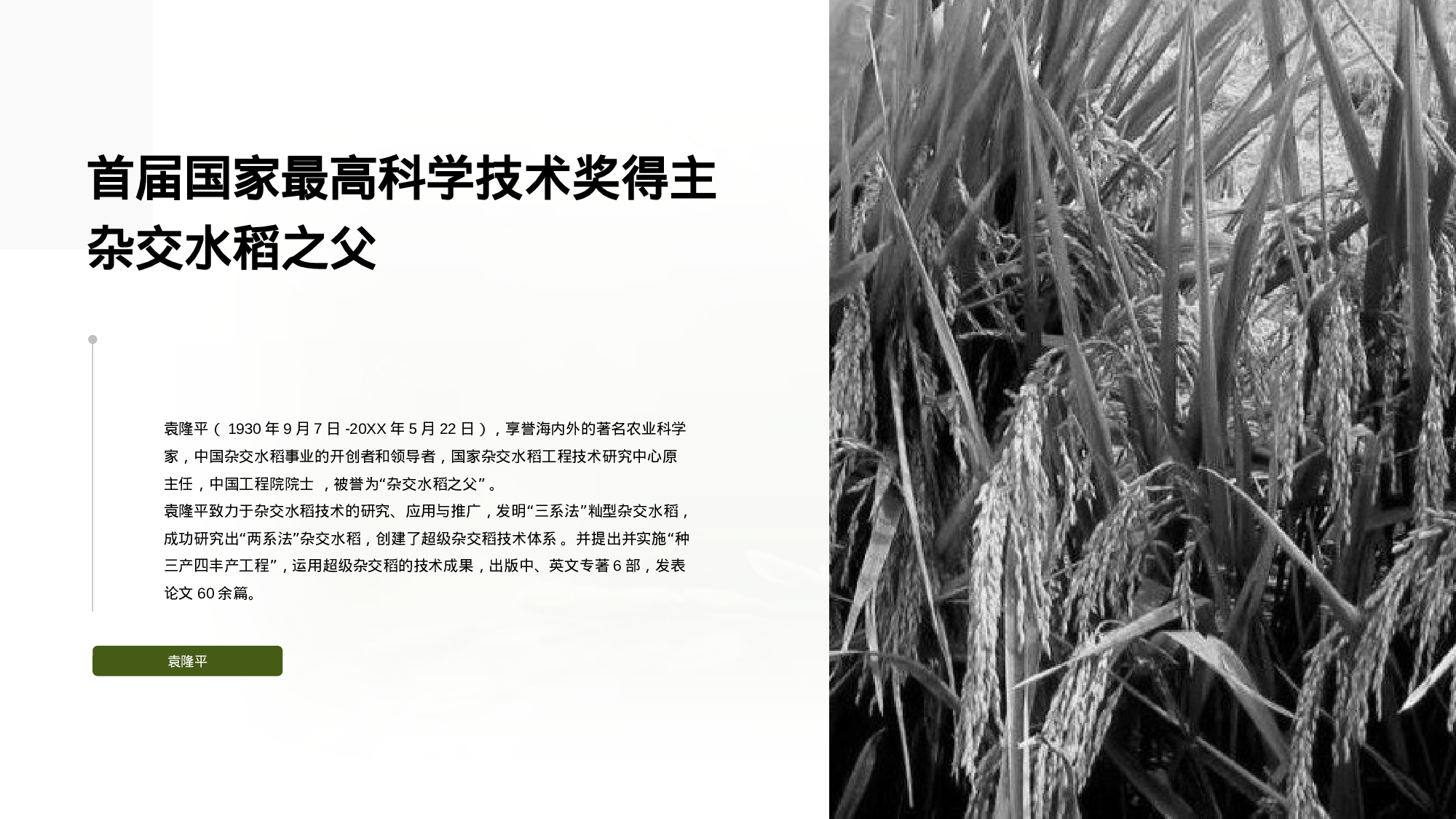 生物专业毕业论文答辩PPT.pptx 第5页