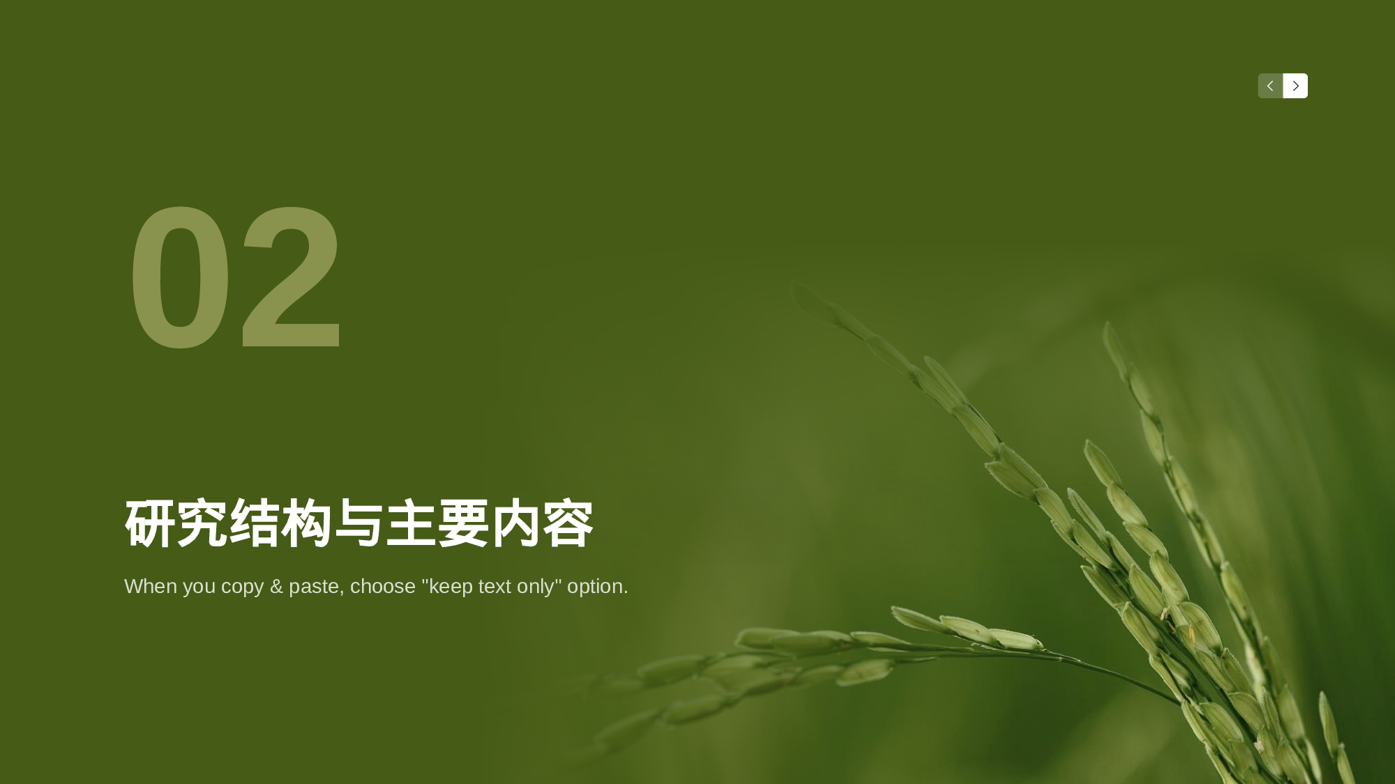 生物专业毕业论文答辩PPT.pptx 第6页