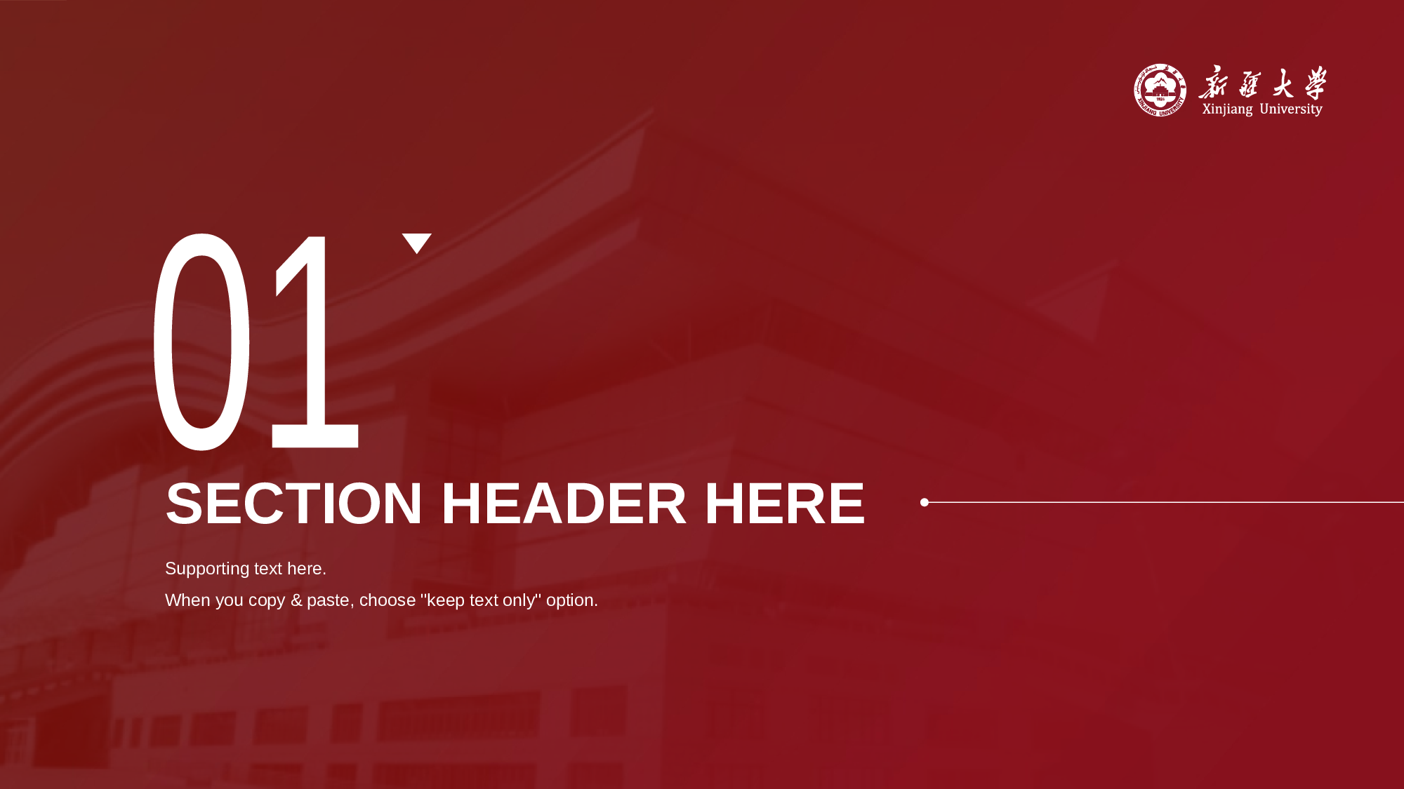 红色商务新疆大学本科毕业答辩PPT素材下载.pptx 第3页