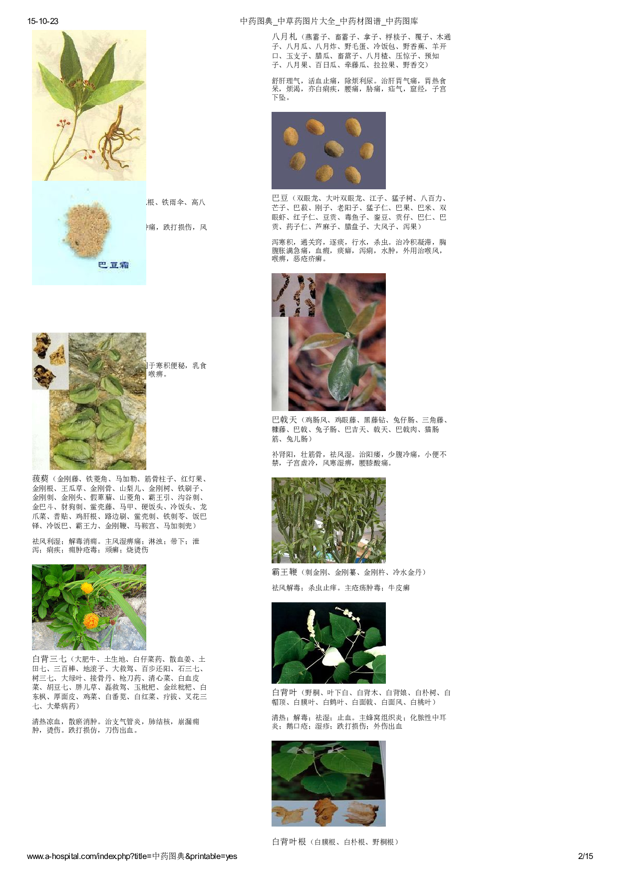 3-中草药图片大全.pdf 第2页