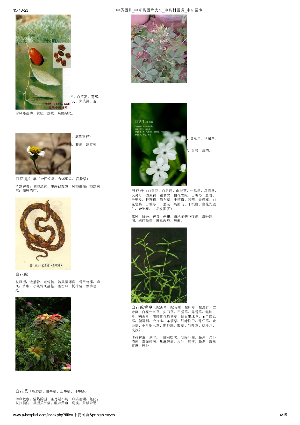 3-中草药图片大全.pdf 第4页