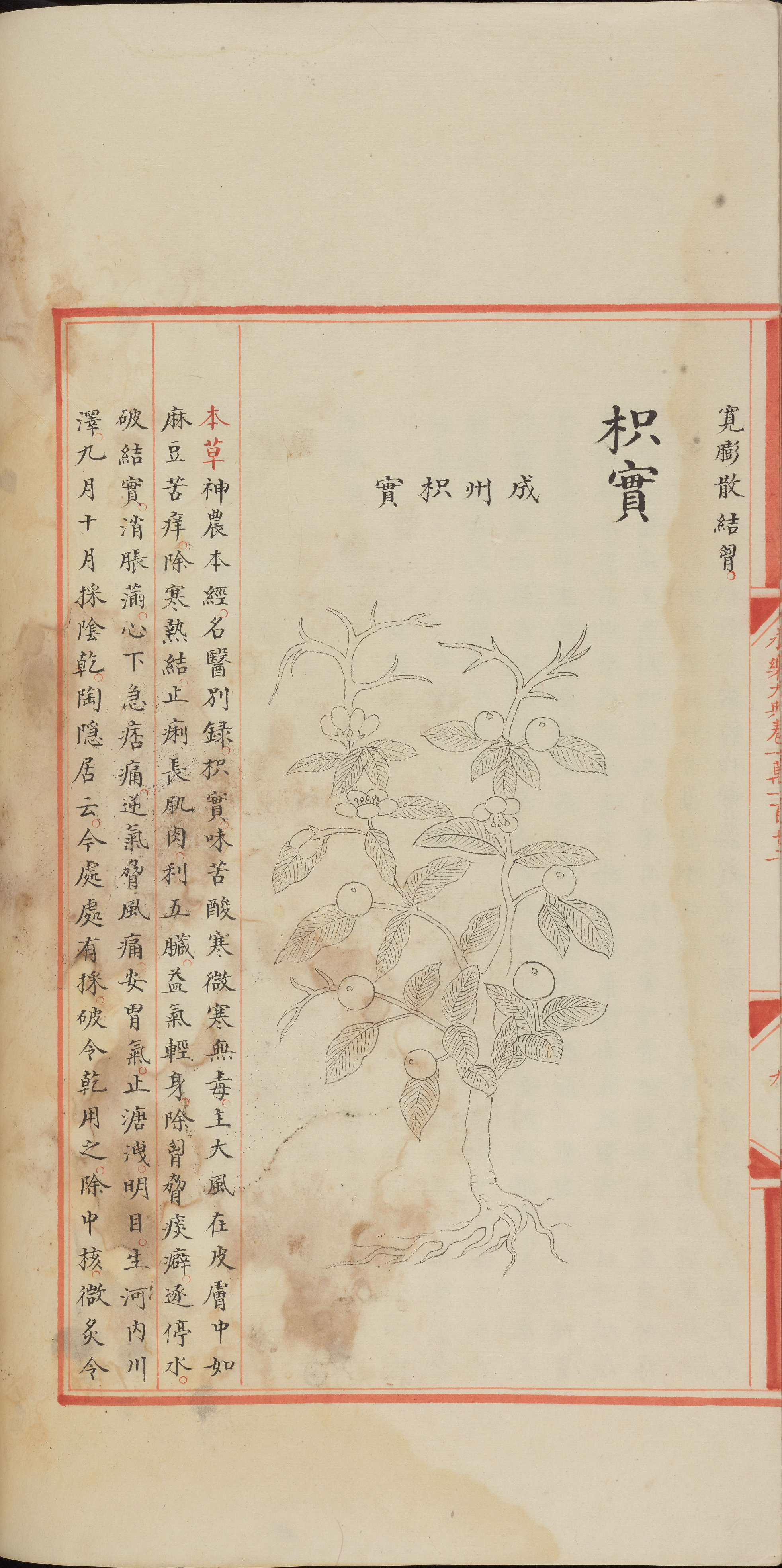 永乐大典.卷10110-10112.纸字.只字等.明嘉靖隆庆间内府重写本_部分4.pdf 第2页