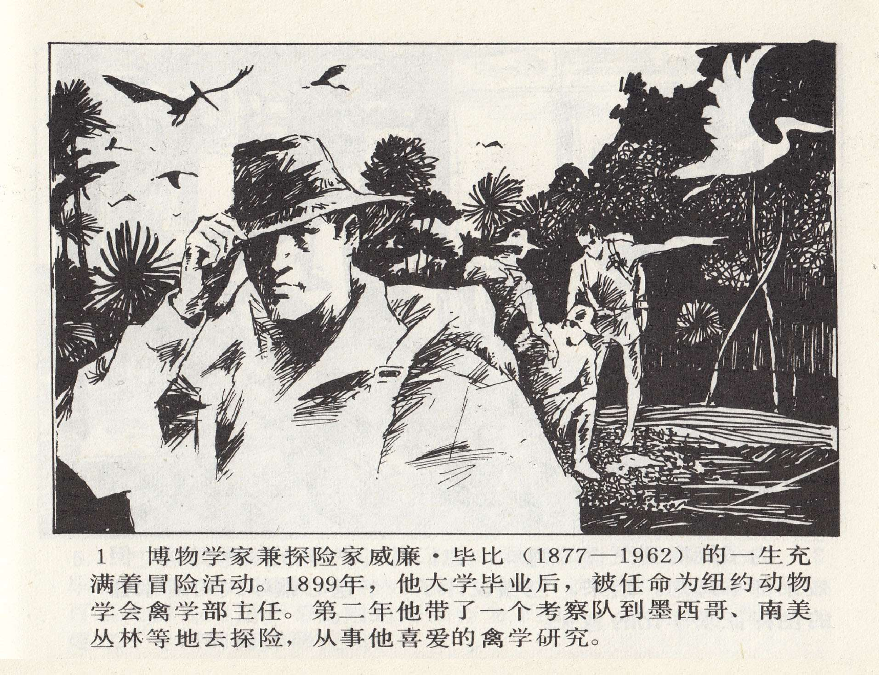 世界探险史33深海探奇.pdf 第4页