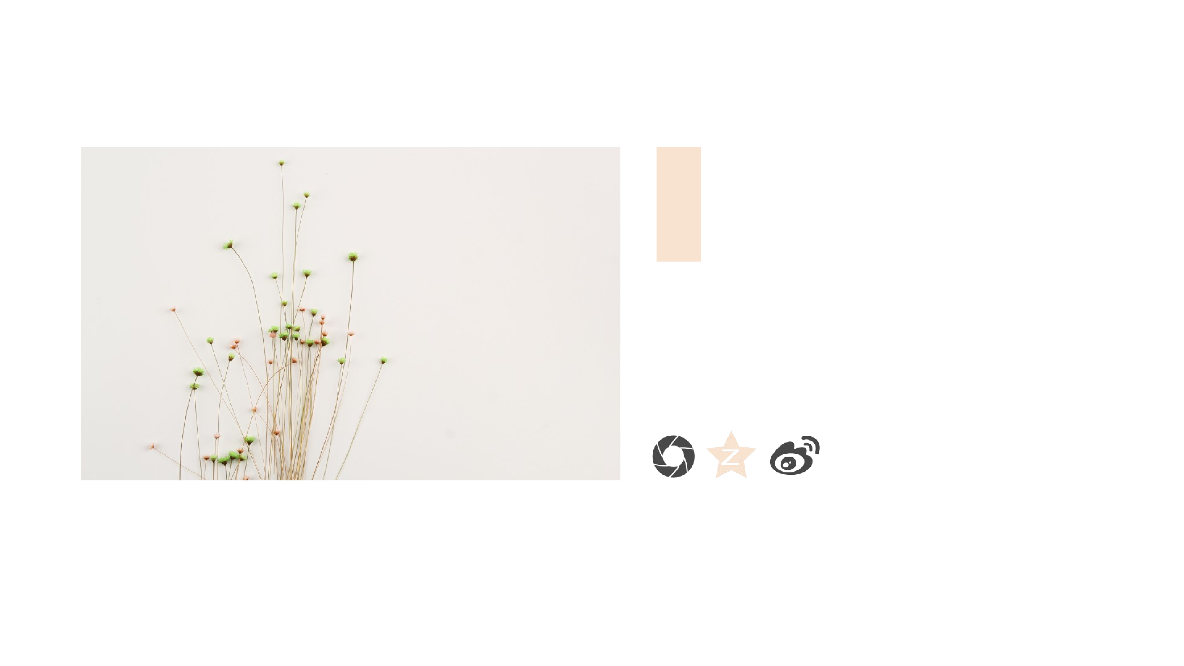 开题答辩_PPT+16_9_2020.05.20(12).pptx 第2页