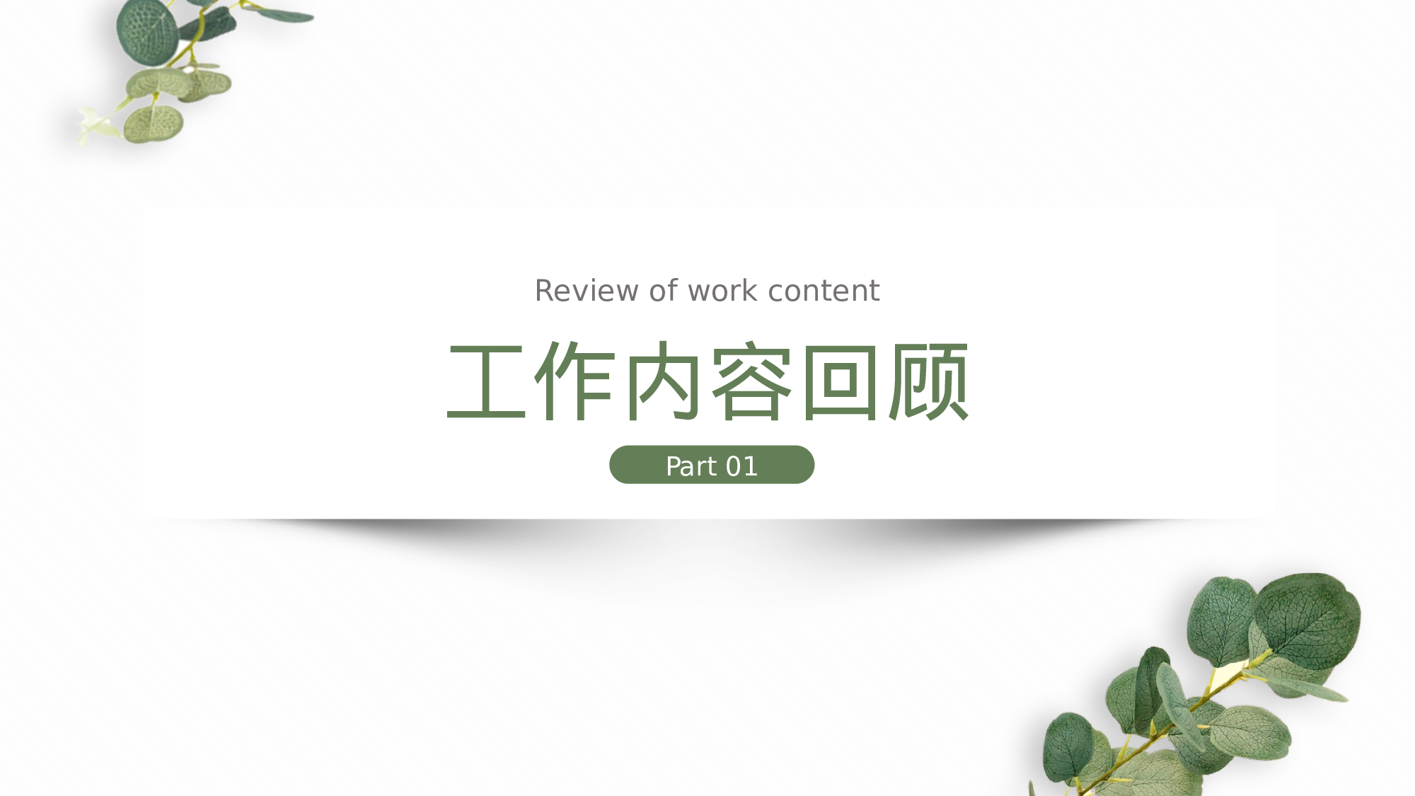 尤加利植物清新工作汇报通用模板.pptx 第4页