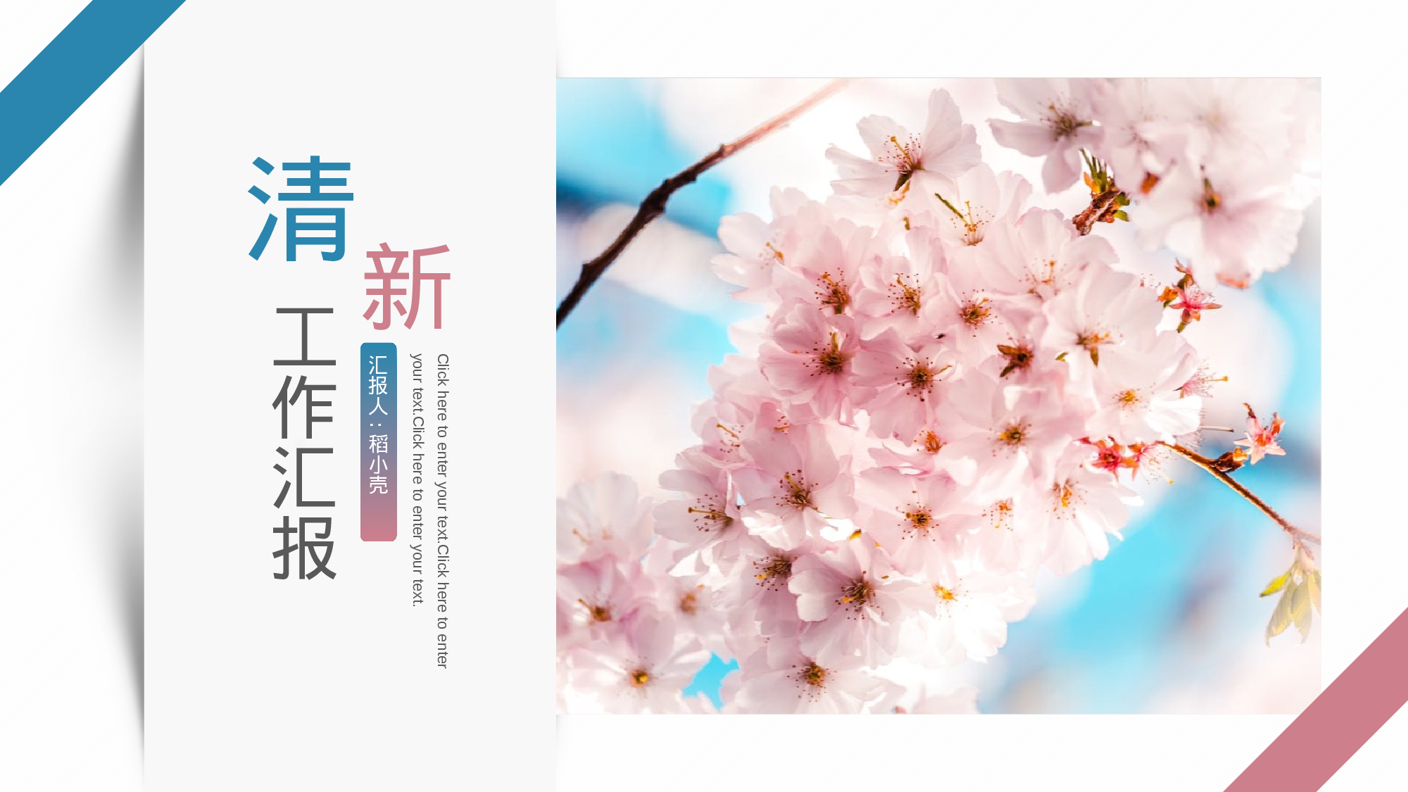 小清新樱花工作汇报通用模板.pptx 第1页