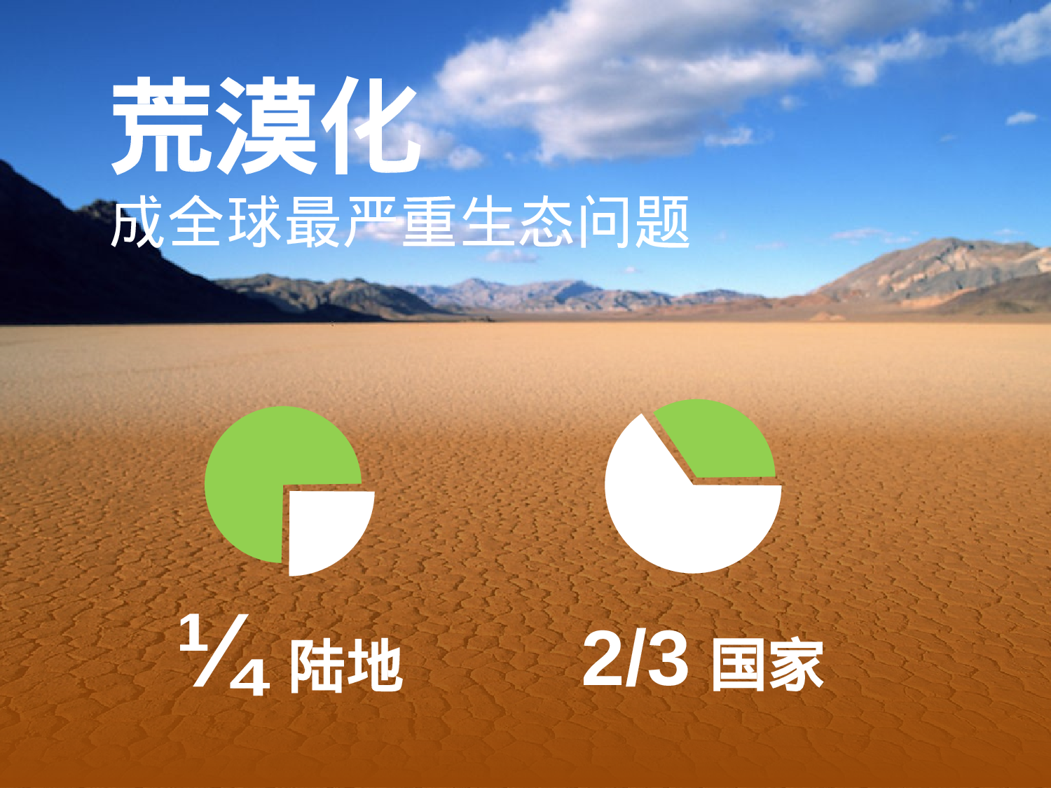 美乐辰 动态 164.pptx 第6页