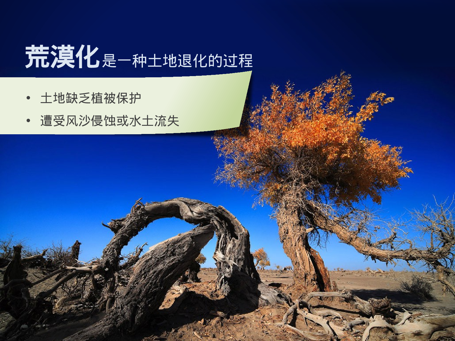 93.生态环境沙漠主图PPT模板.pptx 第3页