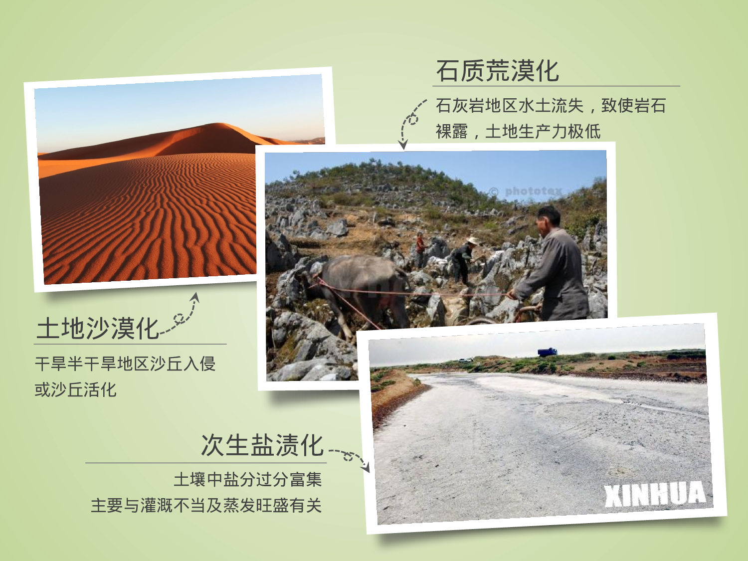 93.生态环境沙漠主图PPT模板.pptx 第4页