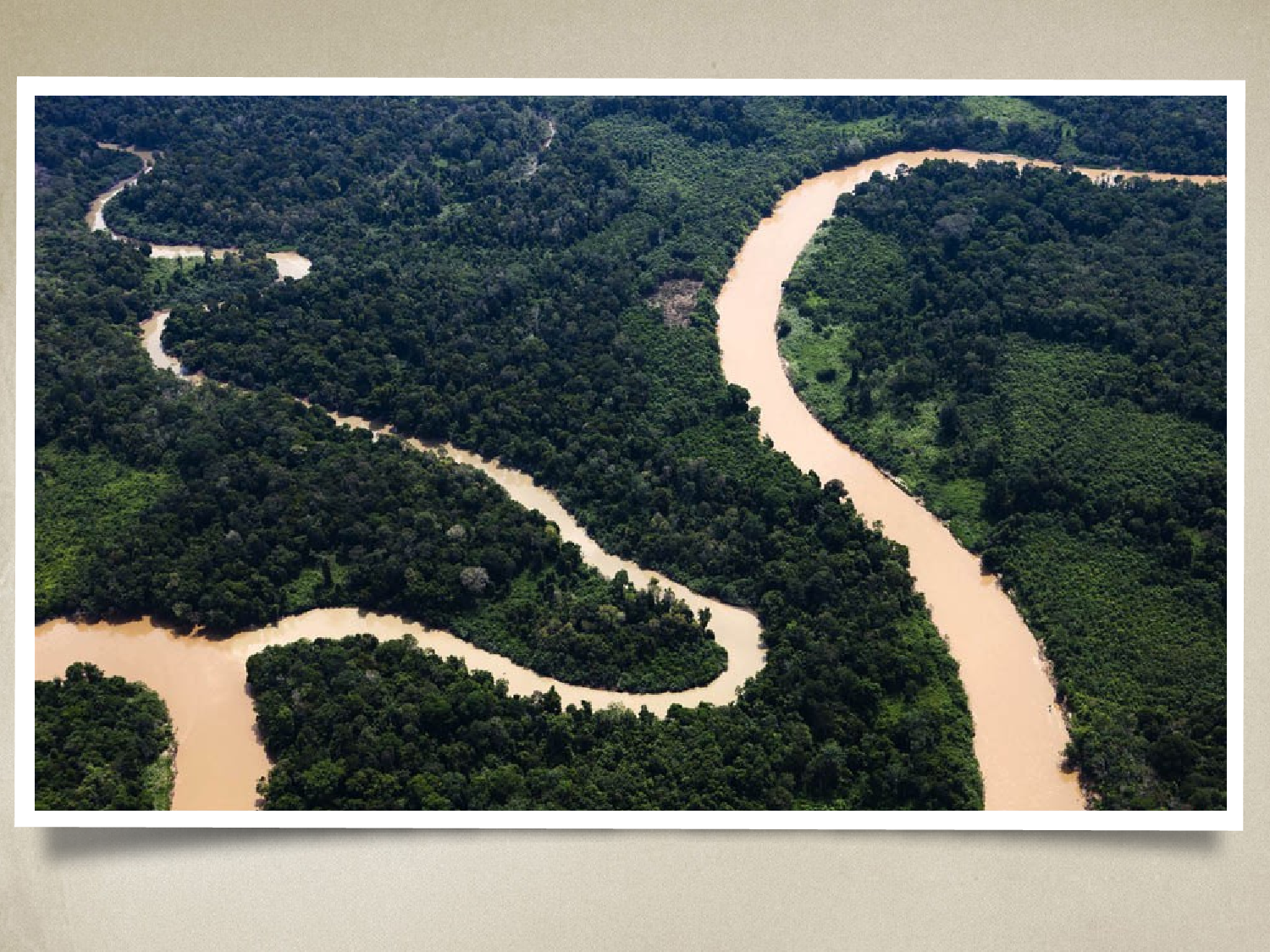 92.生态环境 森林开发和保护PPT模板.pptx 第2页