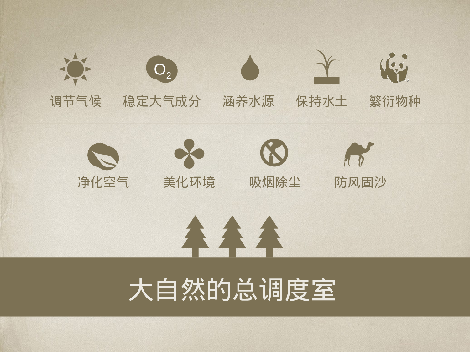 美乐辰 动态 162.pptx 第3页