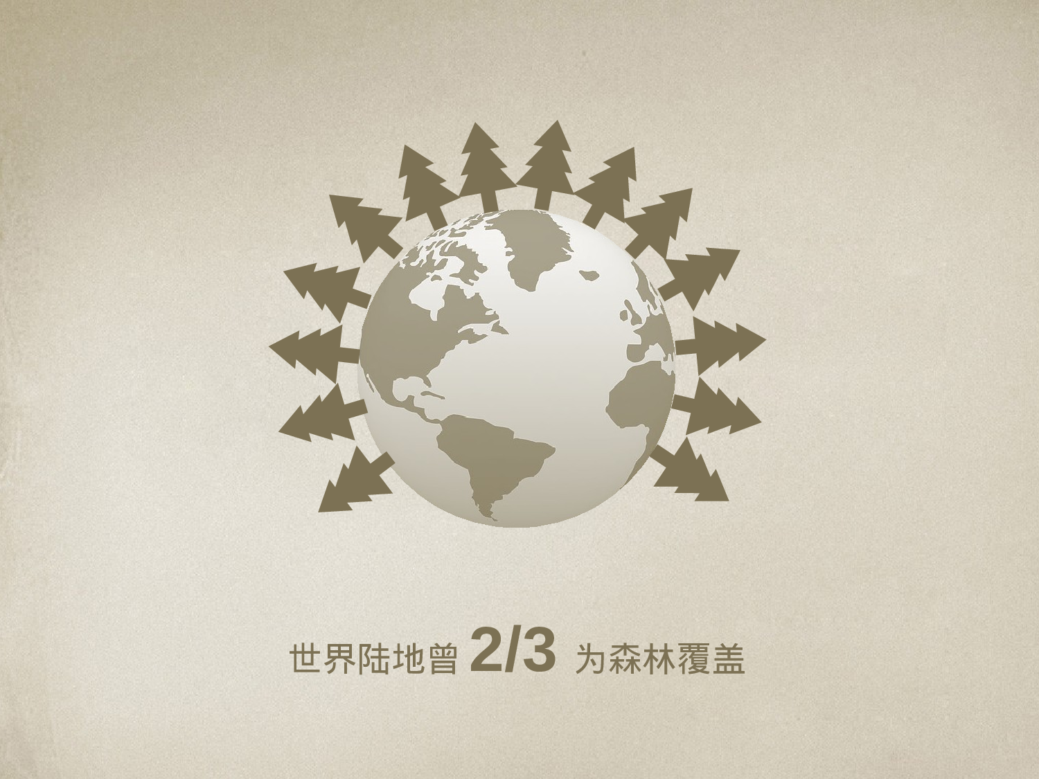 美乐辰 动态 162.pptx 第5页