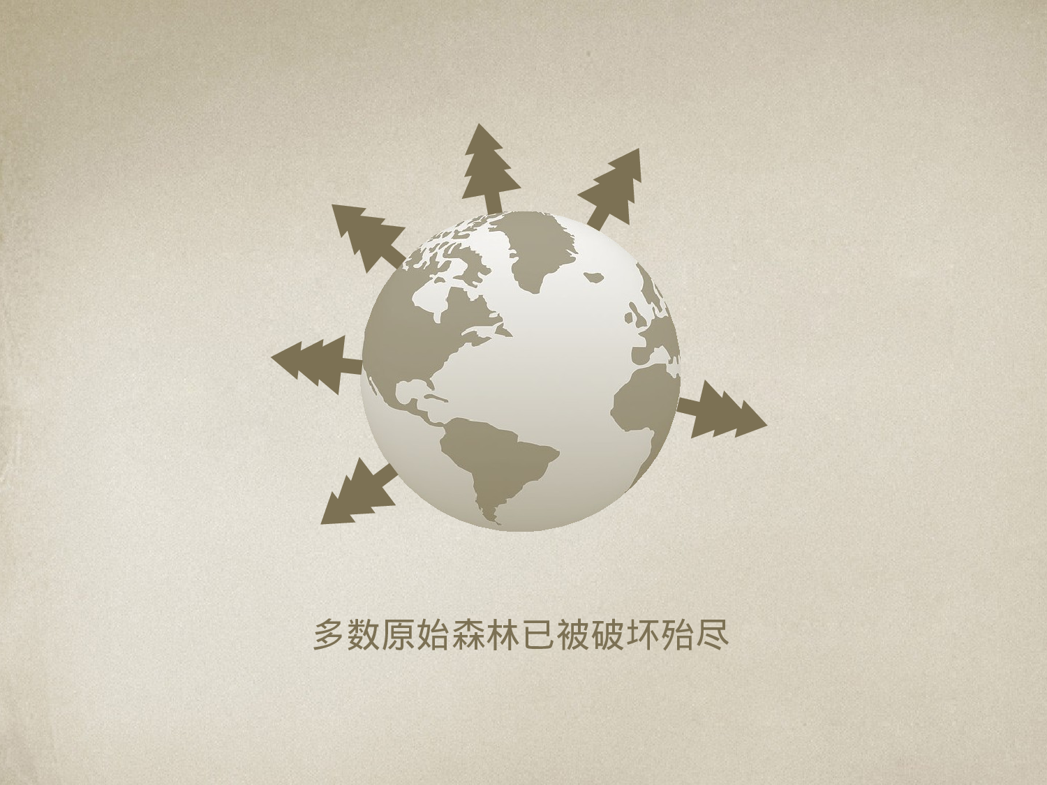 美乐辰 动态 162.pptx 第6页