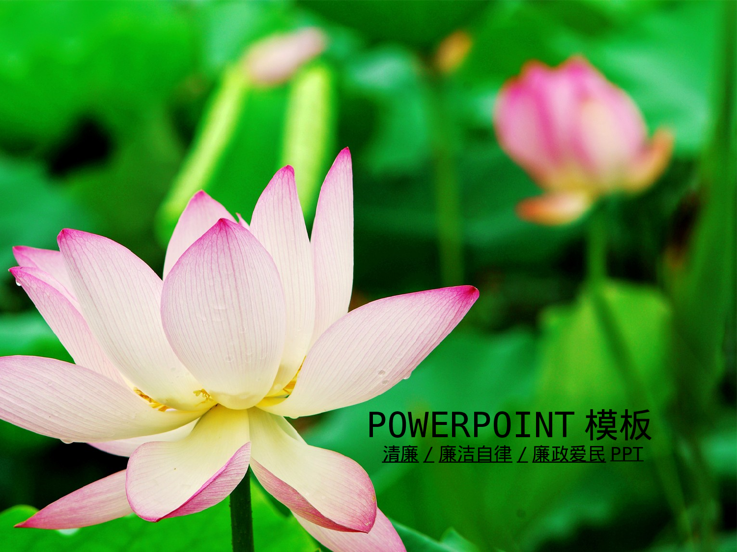 80.荷花党风廉政纪检监察工作报告总结PPT.ppt 第1页