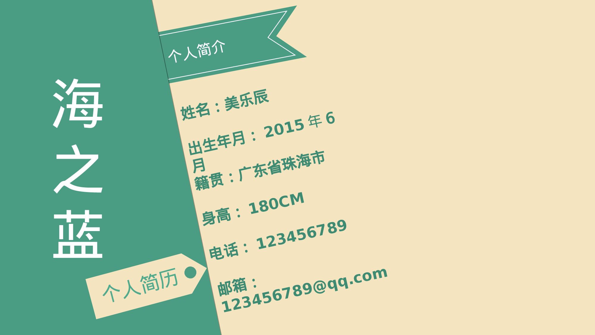 17.个人简历.ppt 第2页