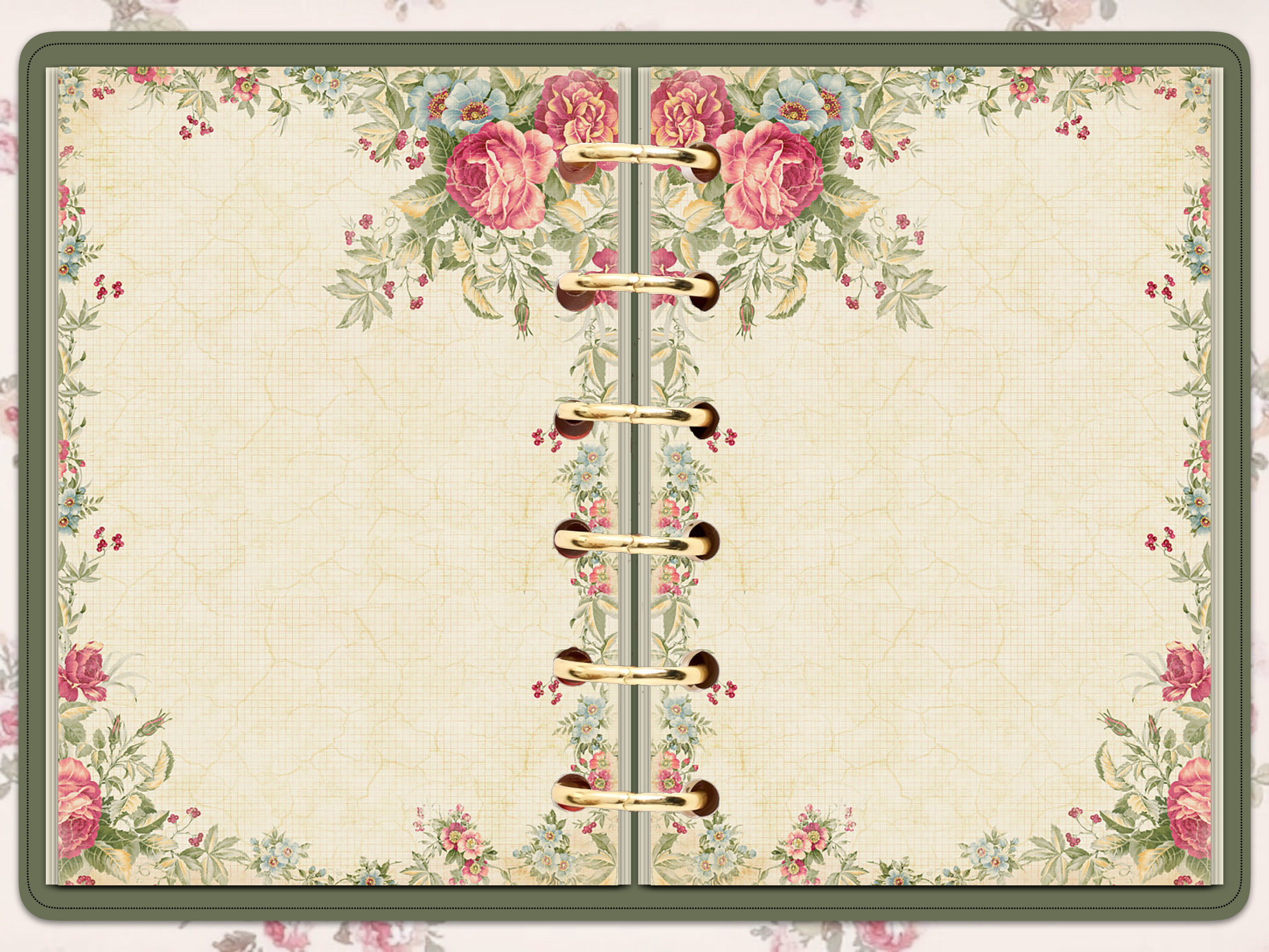 一个漂亮的小本子.pdf 第2页