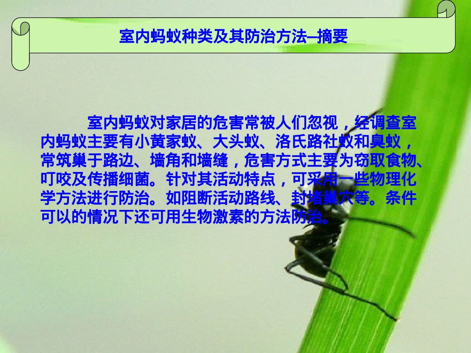 室内蚂蚁种类及其防治方法.ppt 第2页