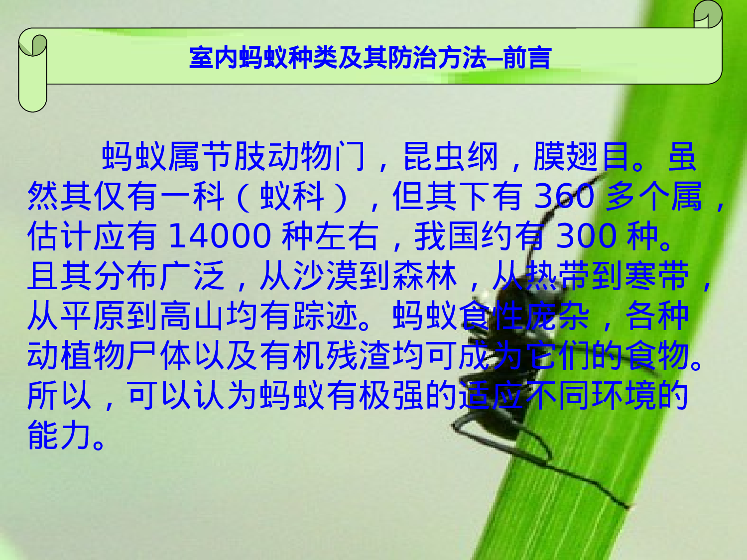 室内蚂蚁种类及其防治方法.ppt 第3页