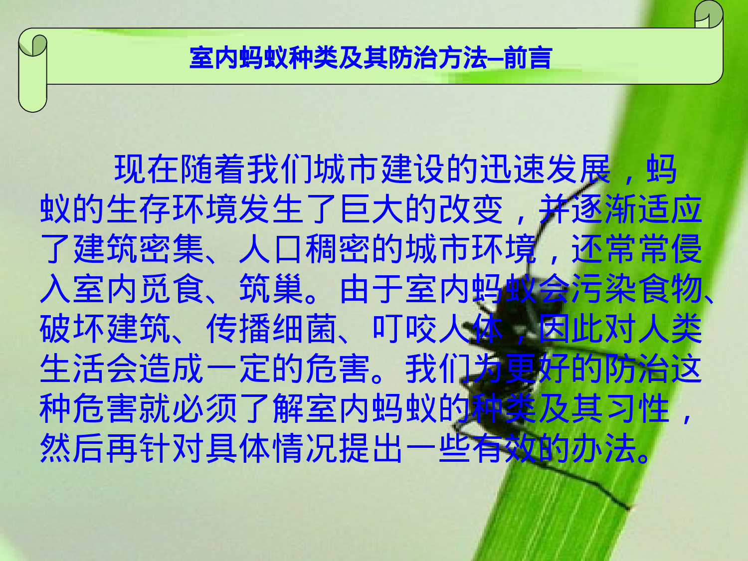 室内蚂蚁种类及其防治方法.ppt 第4页