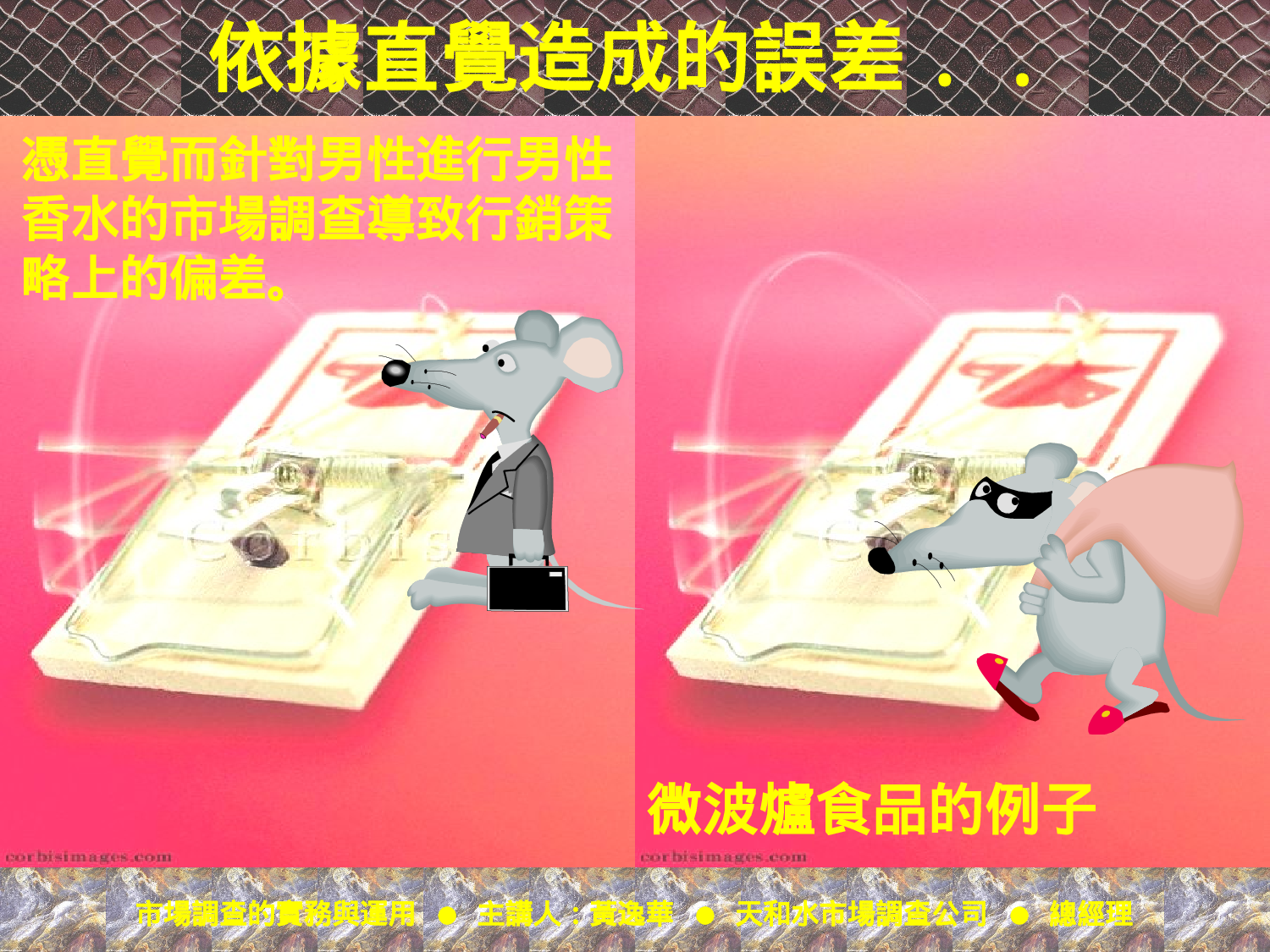 市場調查的實務與運用.ppt 第4页