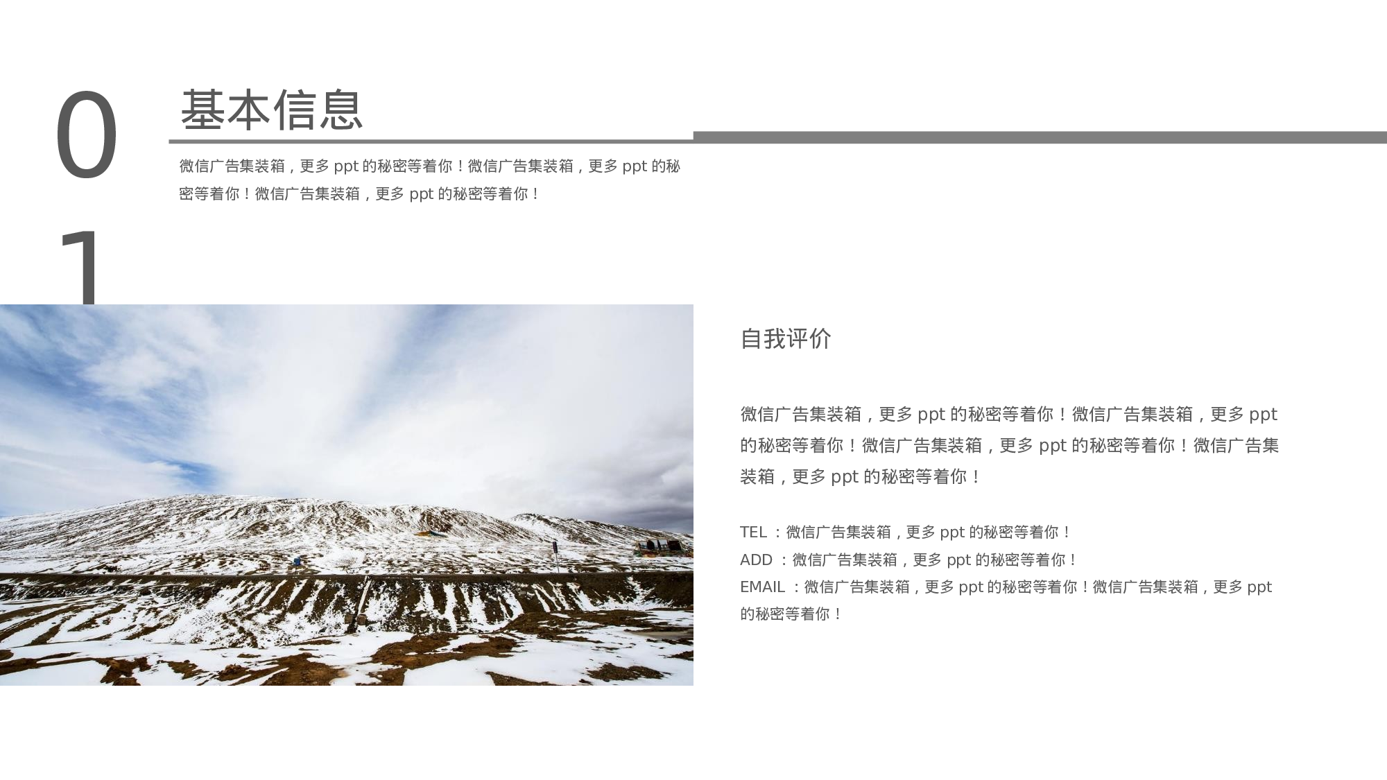 [005]竞聘简历PPT模板[-树灵视觉].pptx 第4页