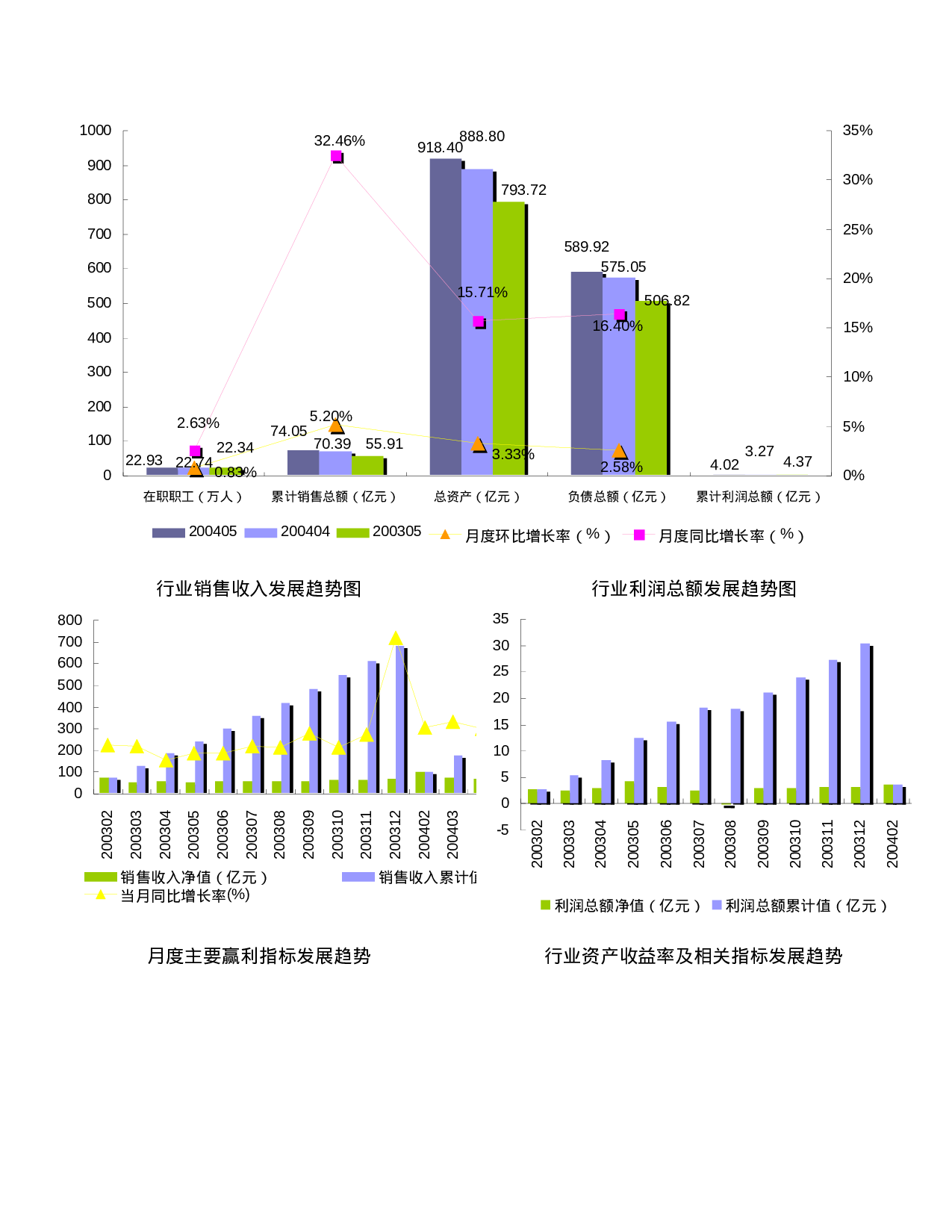 轮胎制造行业报告2004.doc 第2页
