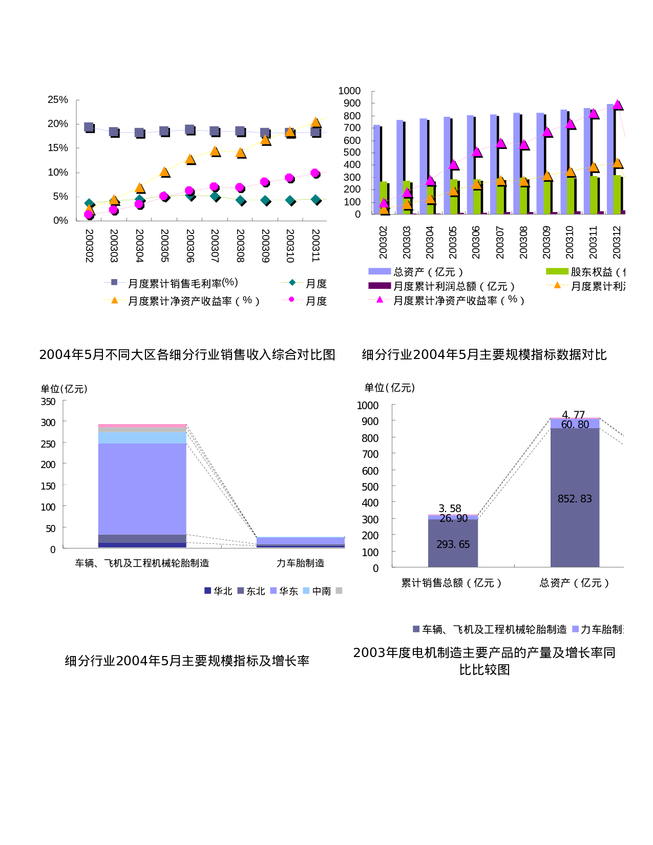 轮胎制造行业报告2004.doc 第3页