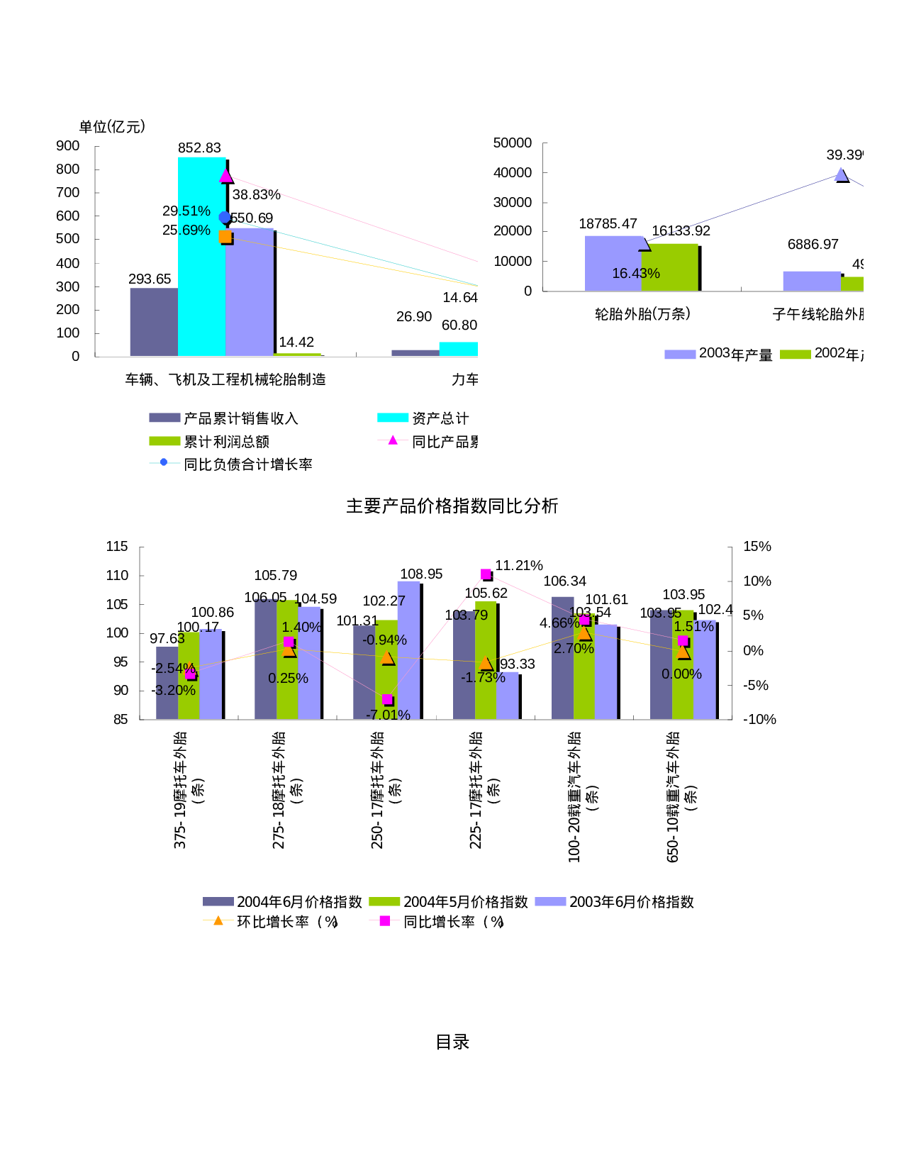 轮胎制造行业报告2004.doc 第4页
