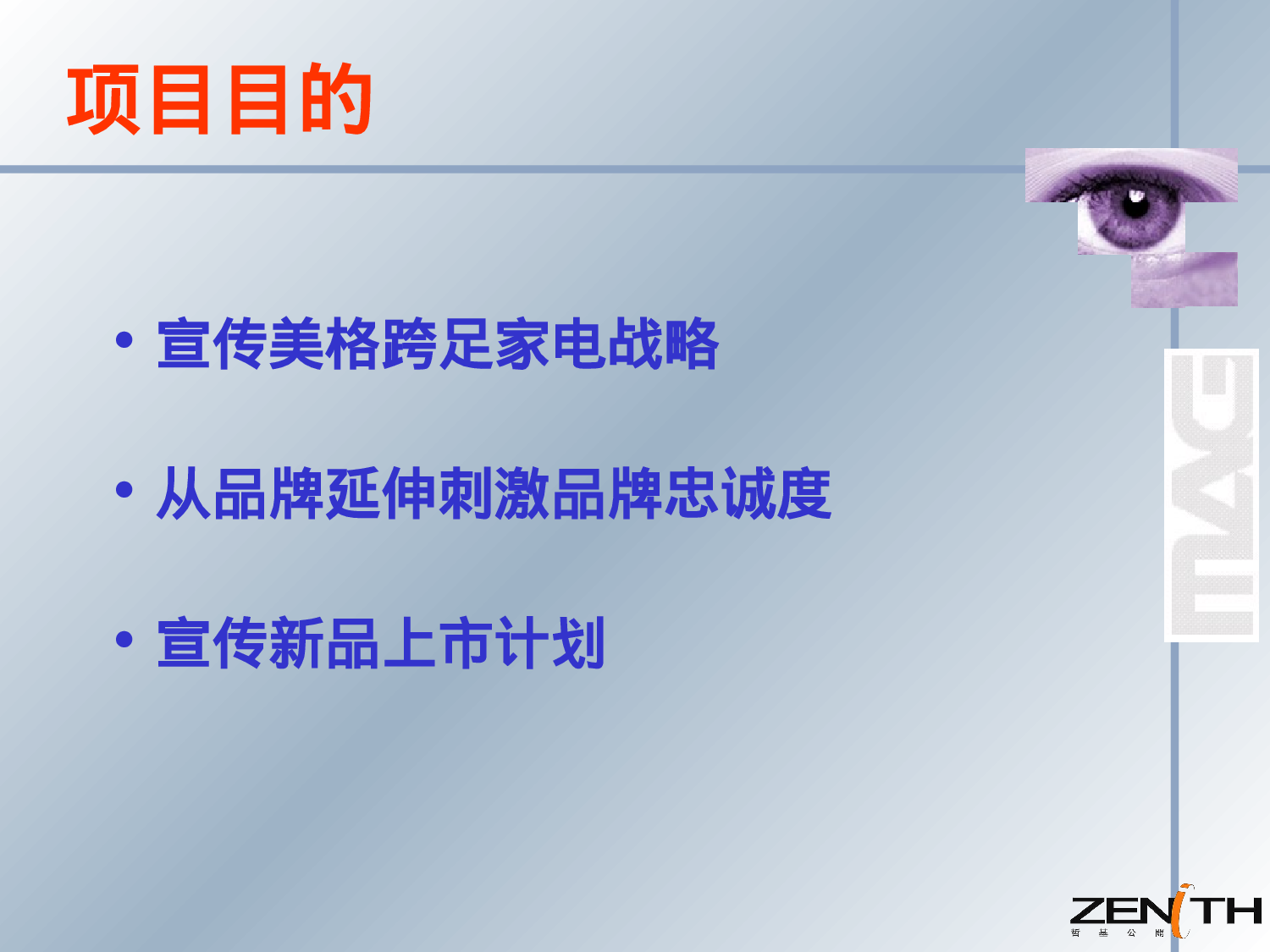 XX策划书.ppt 第4页