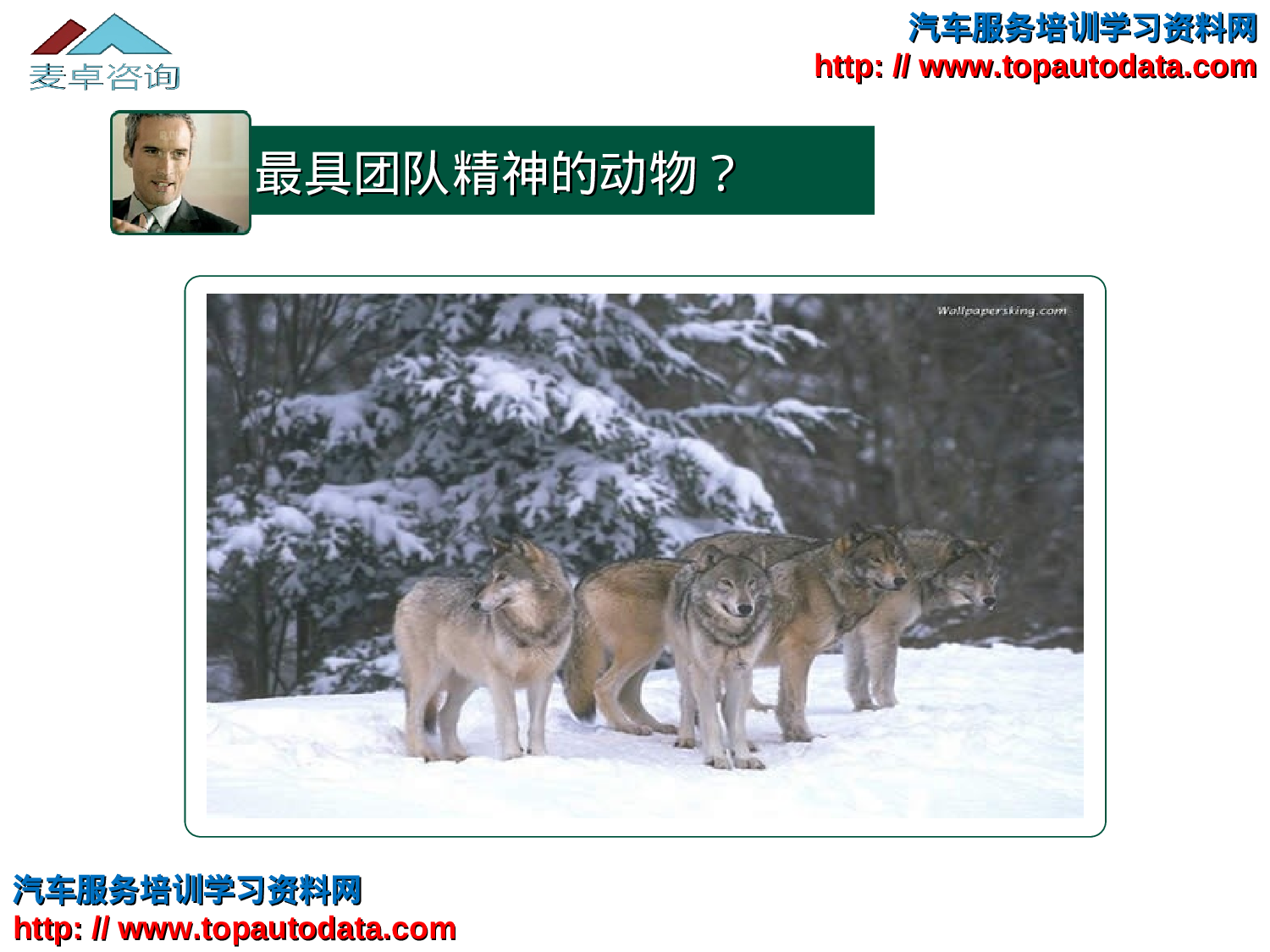 团队建设培训.ppt 第5页