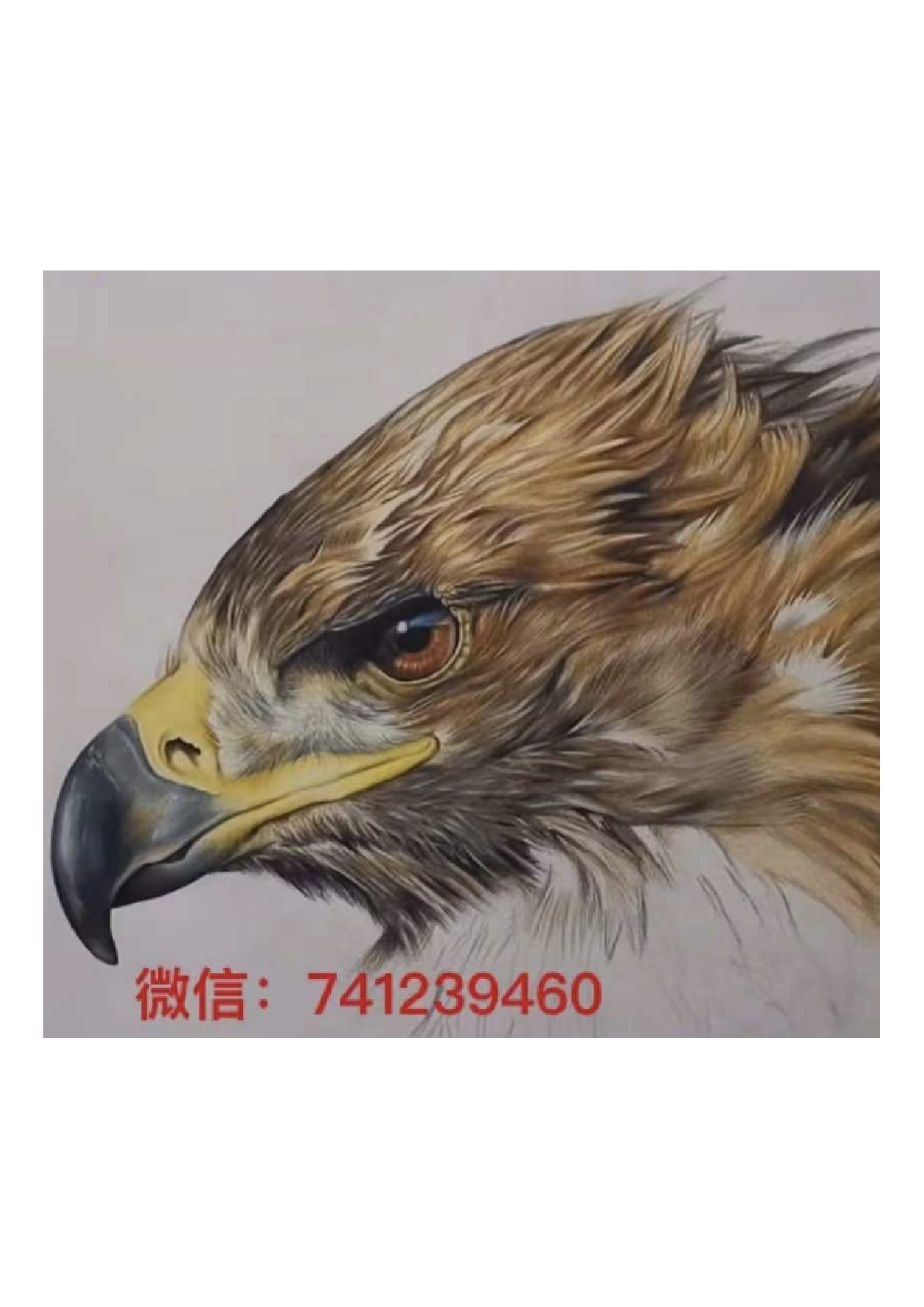 黑板报IMG_5666.pdf 第1页