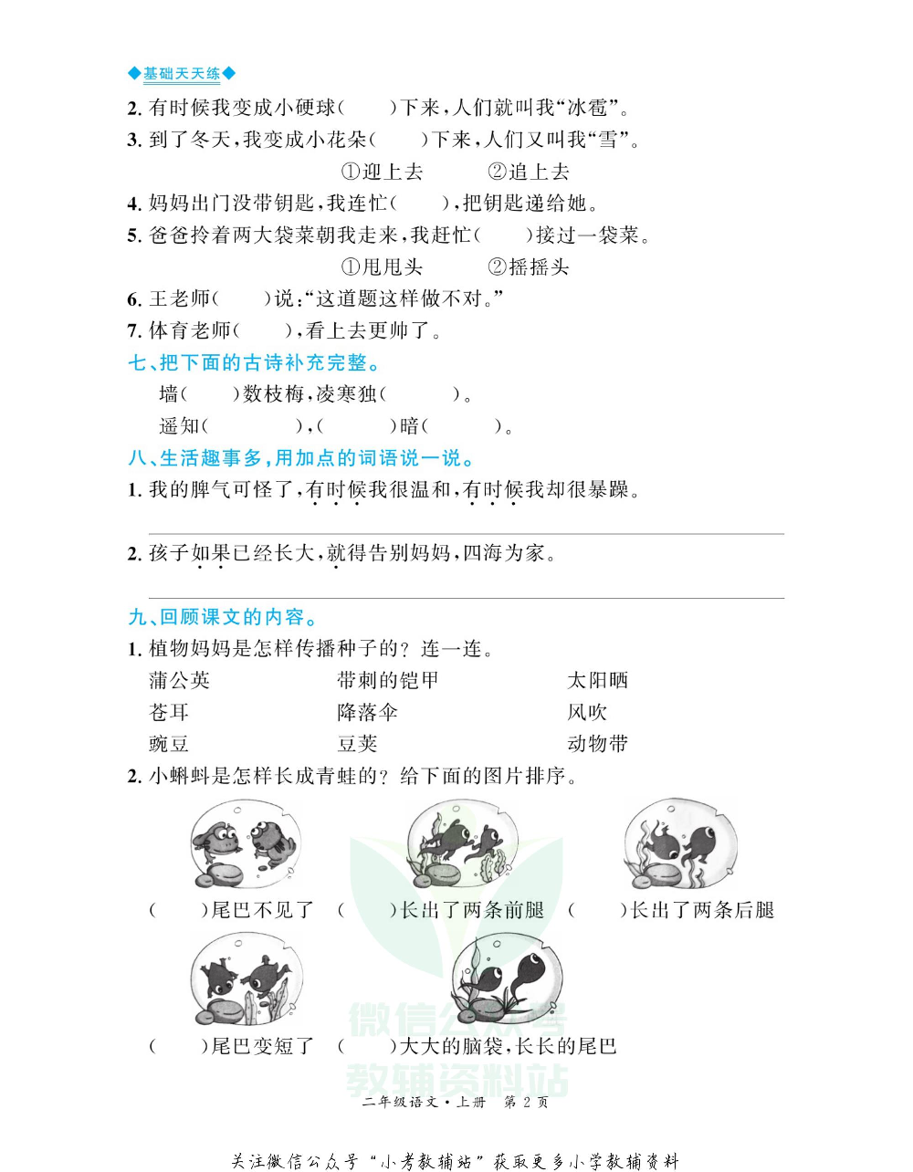 全优期末真题卷二年级上册语文人教版基础天天练.pdf 第3页